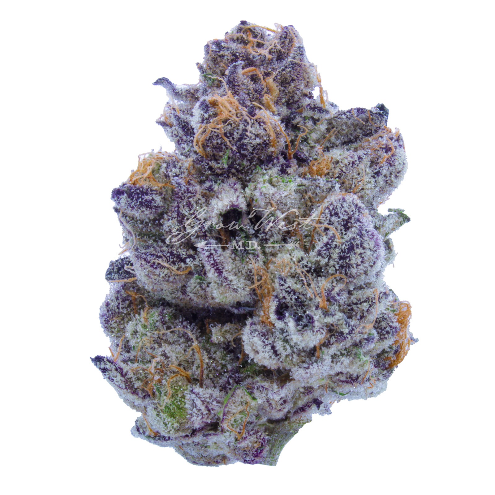 Grow West Cannabis Company Pie Crust Premium Leafly