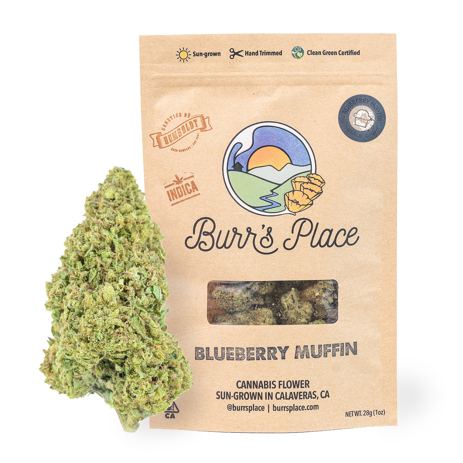Burr's Place — Blueberry Muffin