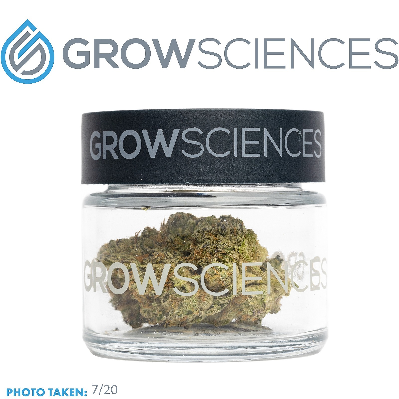 Grow Sciences Kush Mints (3.7) Leafly