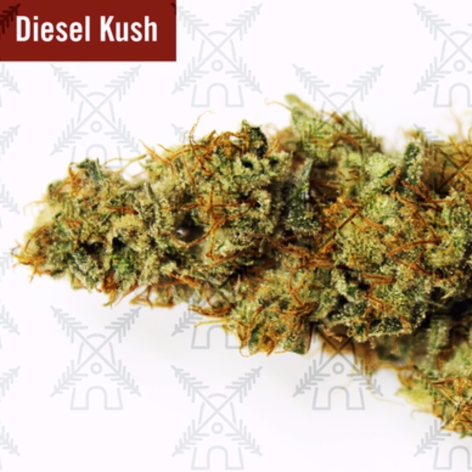 Dutch Valley Farms Diesel Kush Leafly