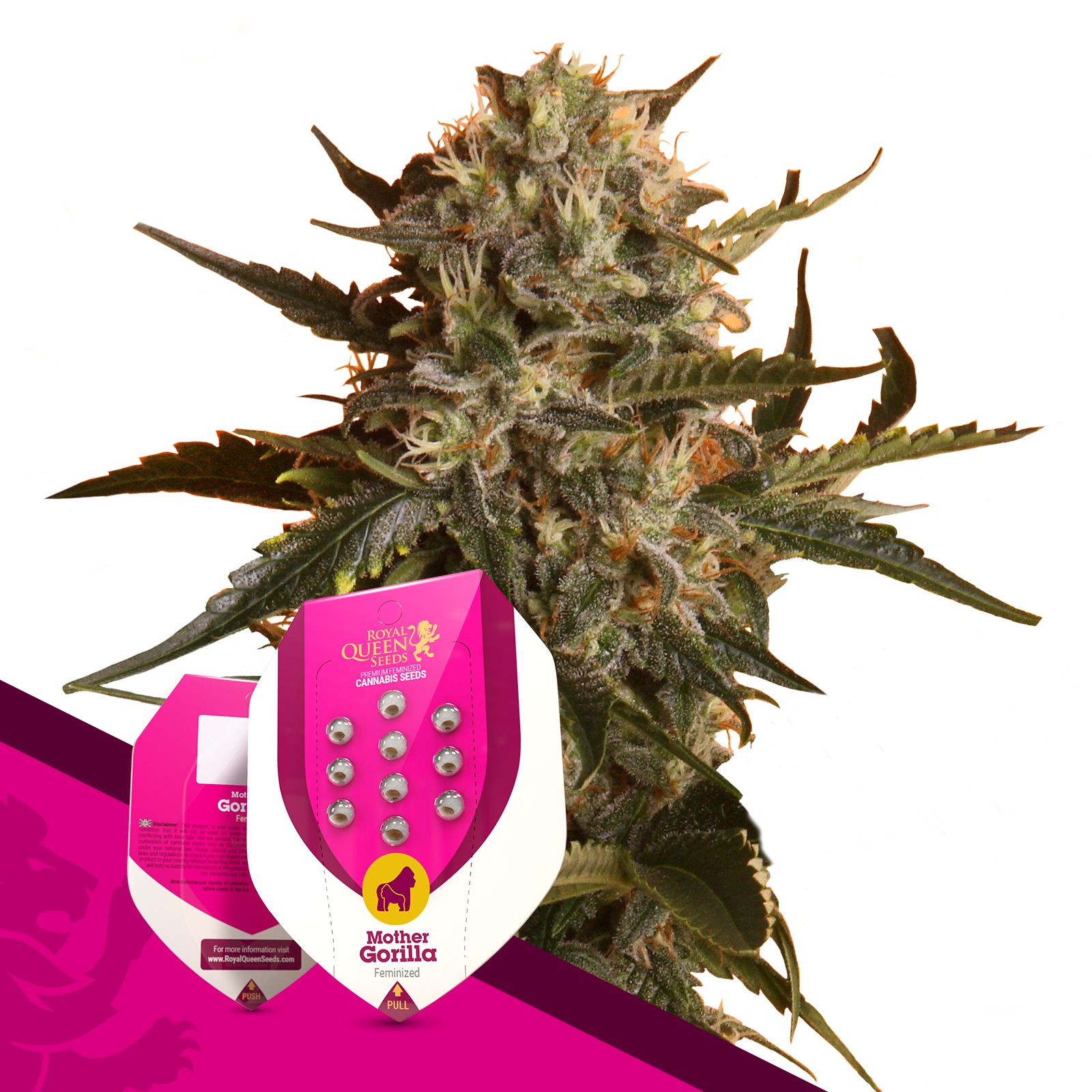 Royal Queen Seeds Mother Gorilla Leafly