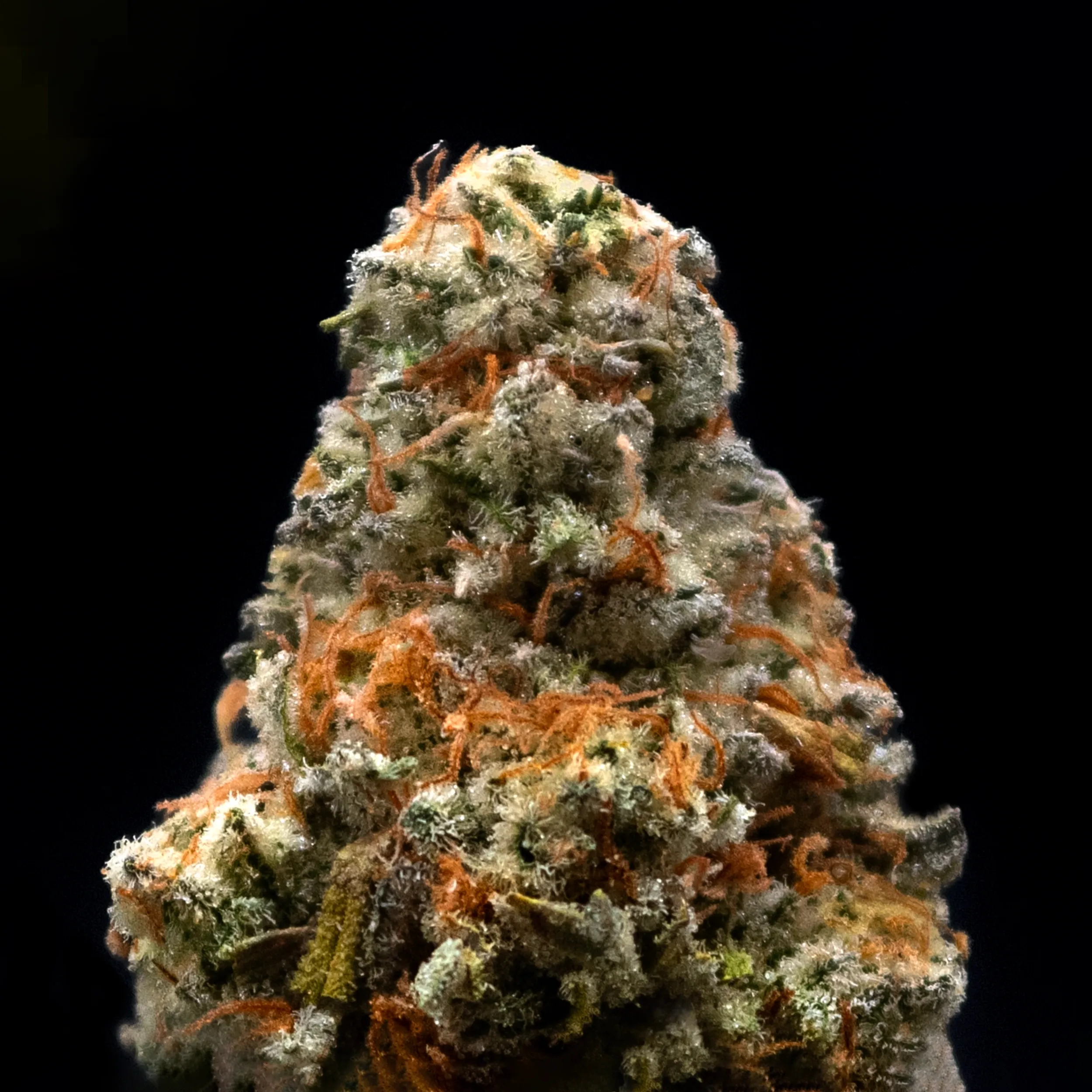 Upstate Elevator Operators 3.5g Jelly Breath Living Soil Cannabis Upstate Elevator