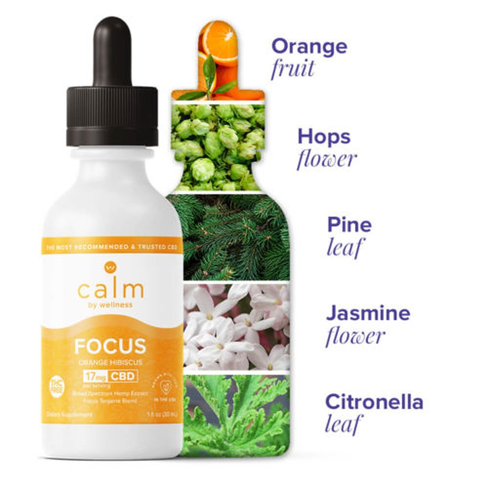 Calm by Wellness: CBD Oil Tincture Focus | Leafly