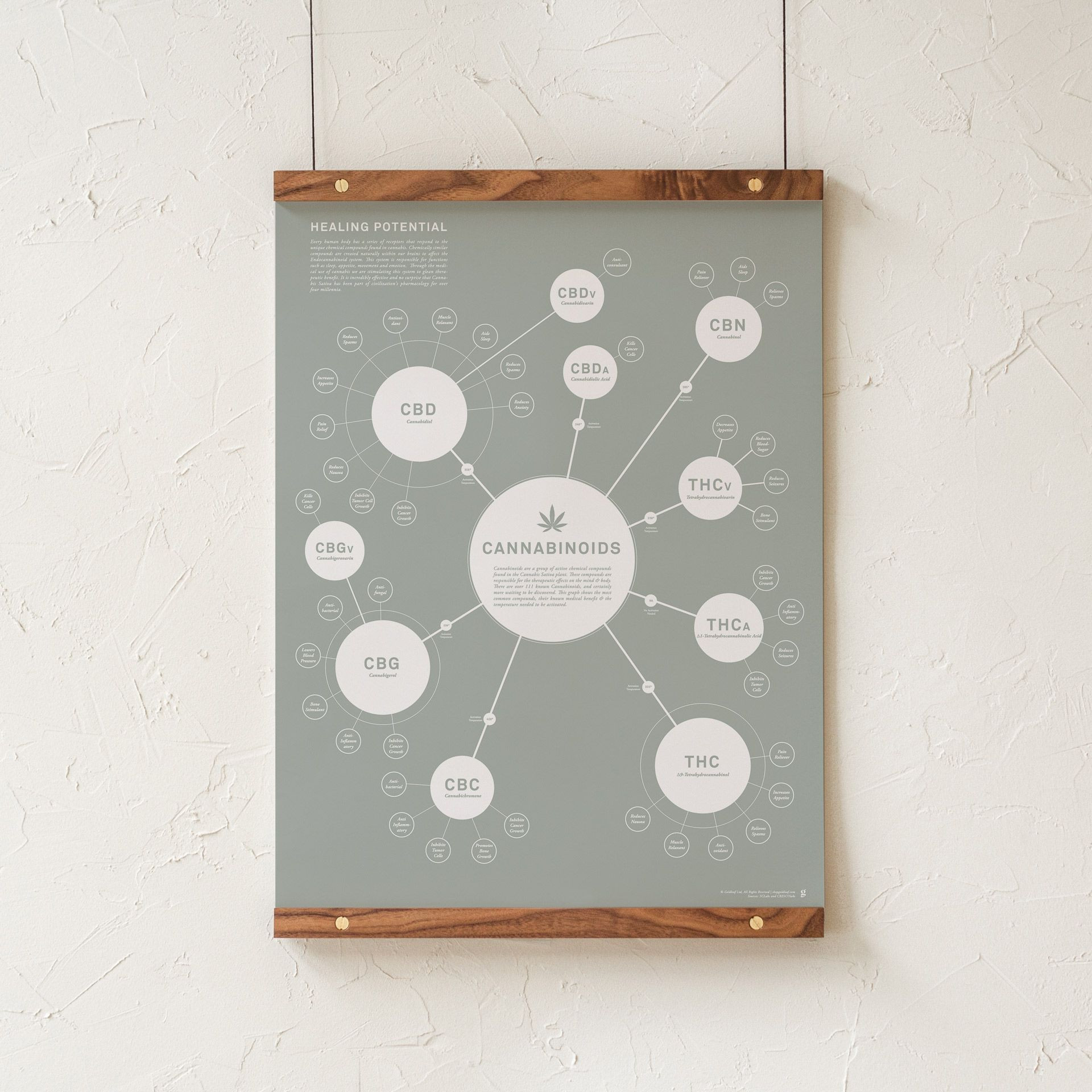 chart-of-cannabinoids-infographic-print-poster-leafly