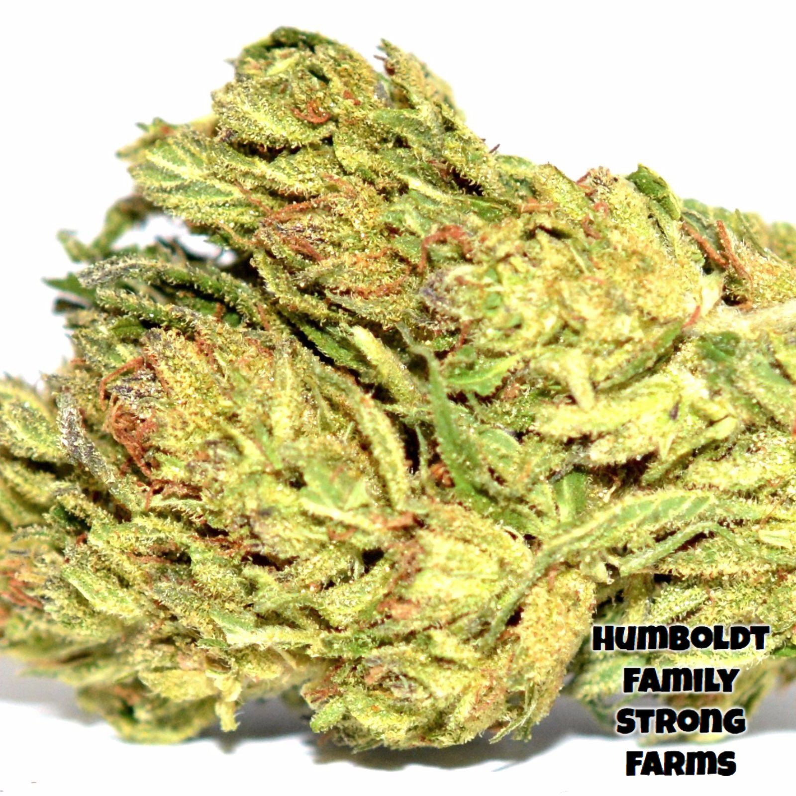 Peanut Butter Cherry Pie Humboldt Family Strong Farms Le