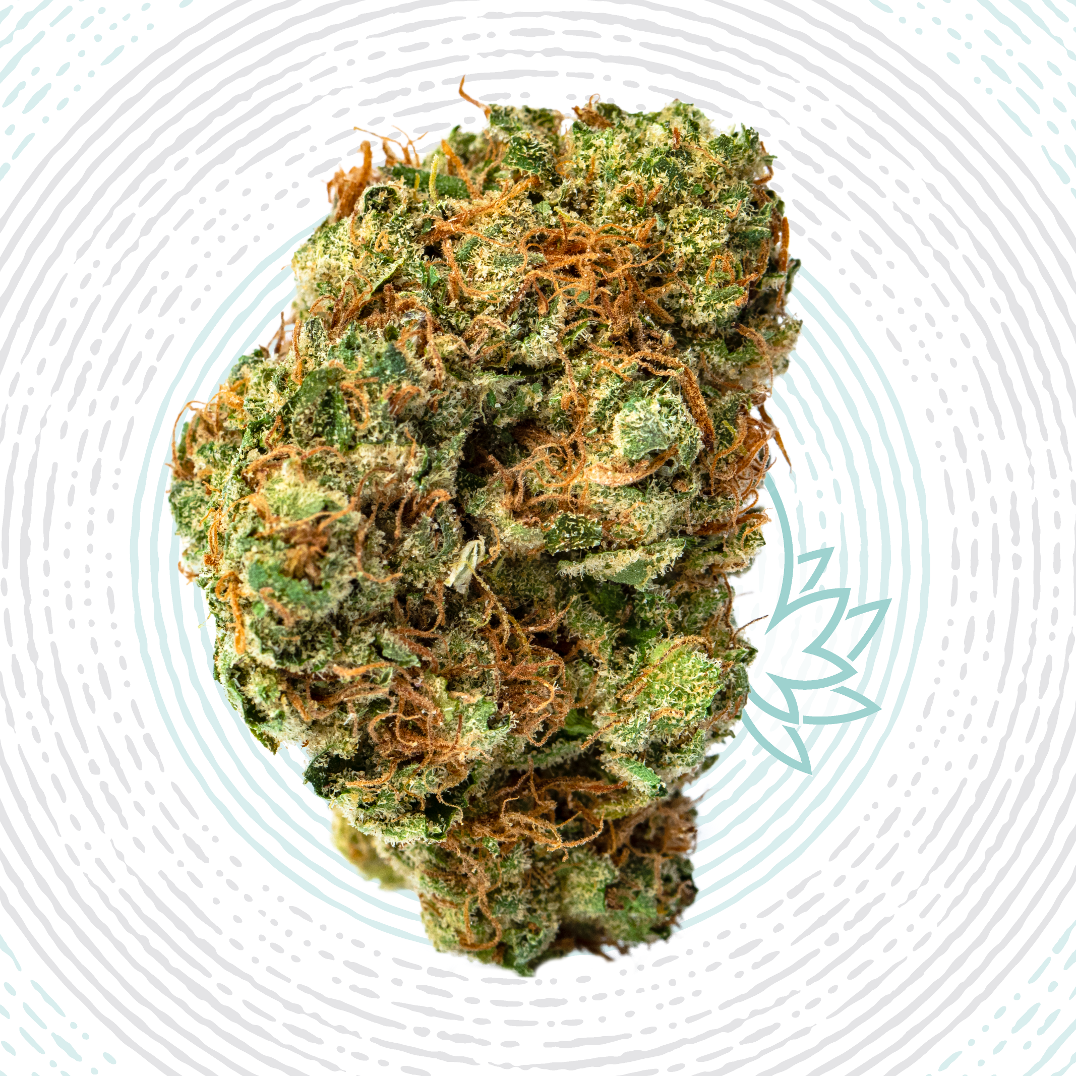 ray charles strain ray charles strain