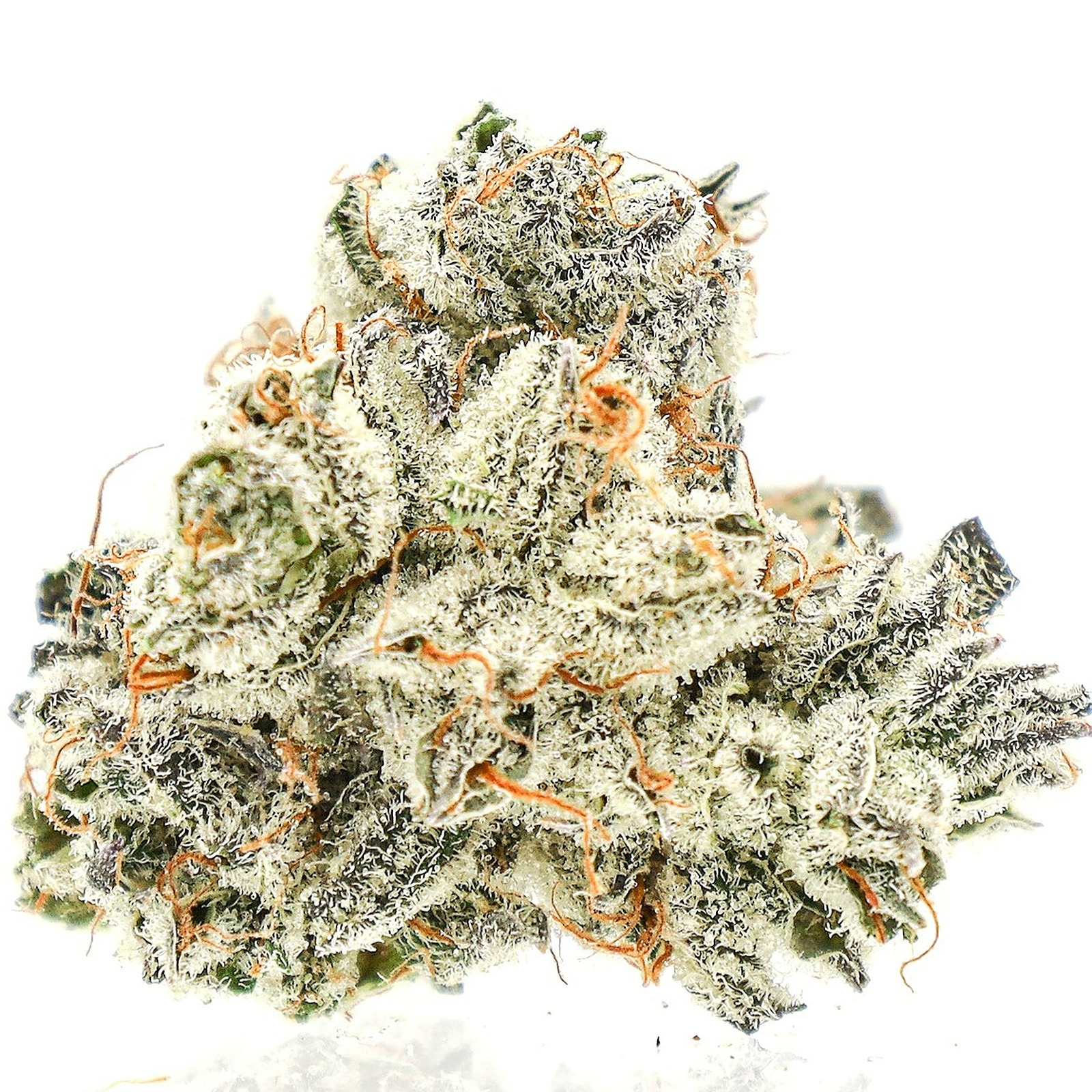 Blood Honey Strain Leafly 45 - awncwwi