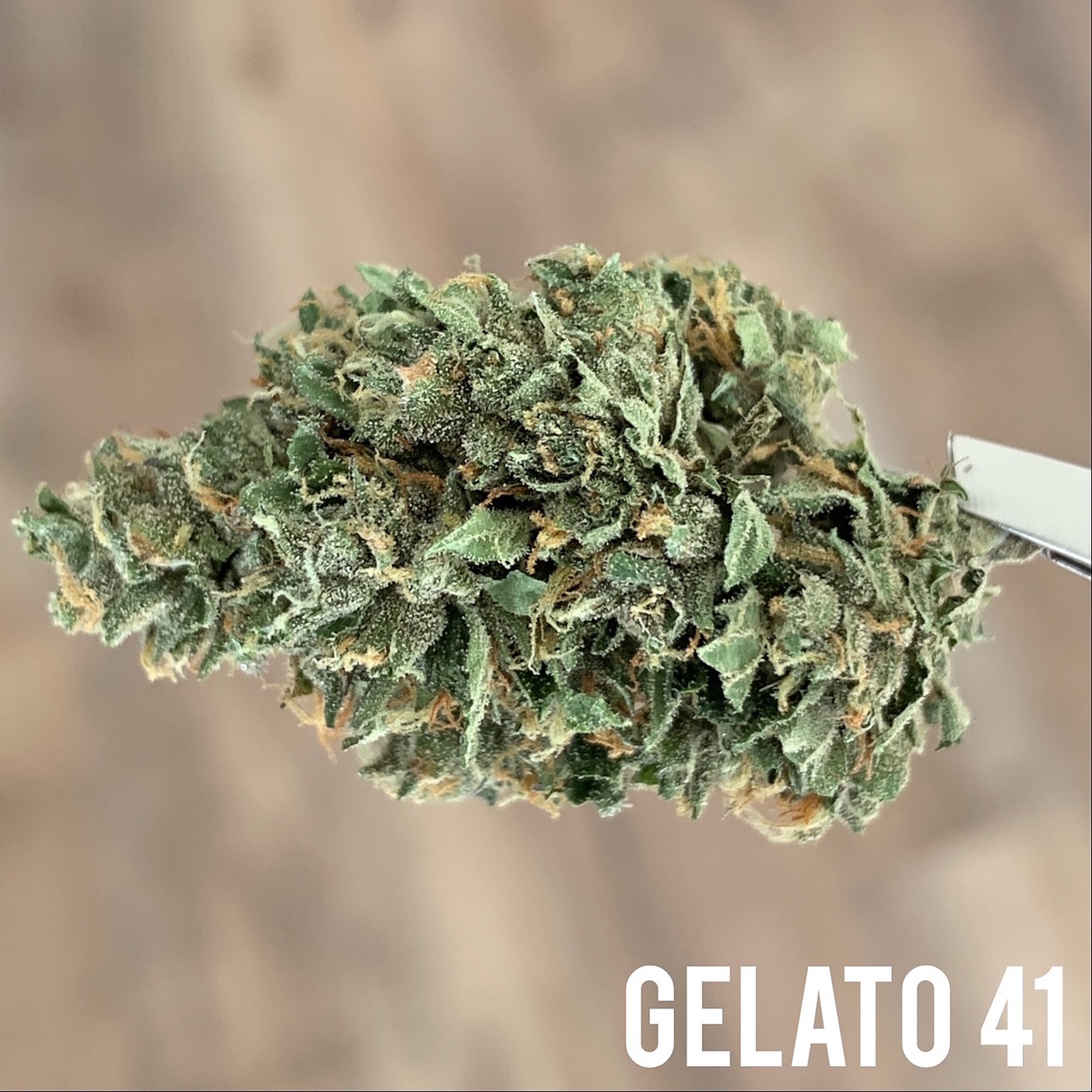 crypto gelato leafly