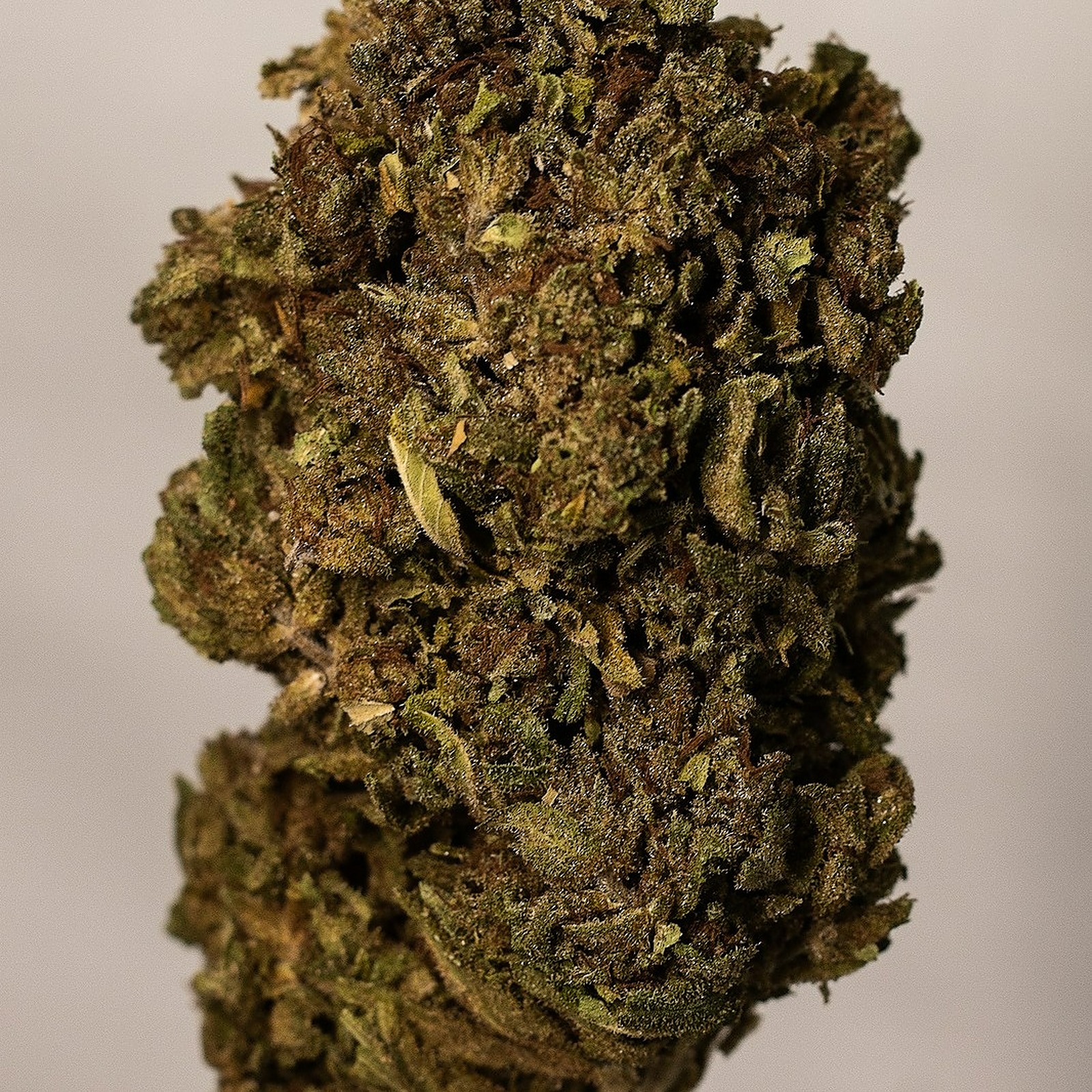 Hemp Pantry Premium Hand Weighed Flower Tier 1 Leafly