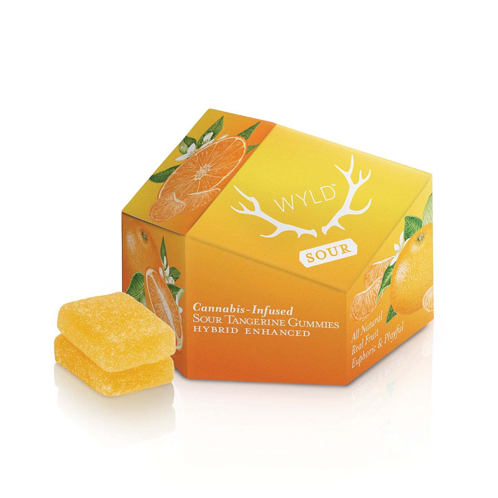 Wyld — X 10 Gummiesgummies