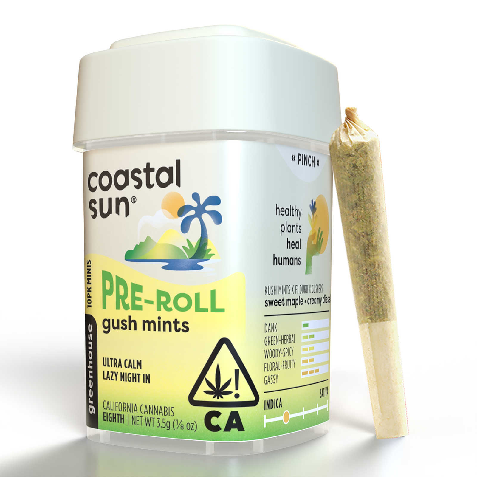 Coastal Sun Farm Gush Mints Greenhouse PreRoll 10Pack Leafly