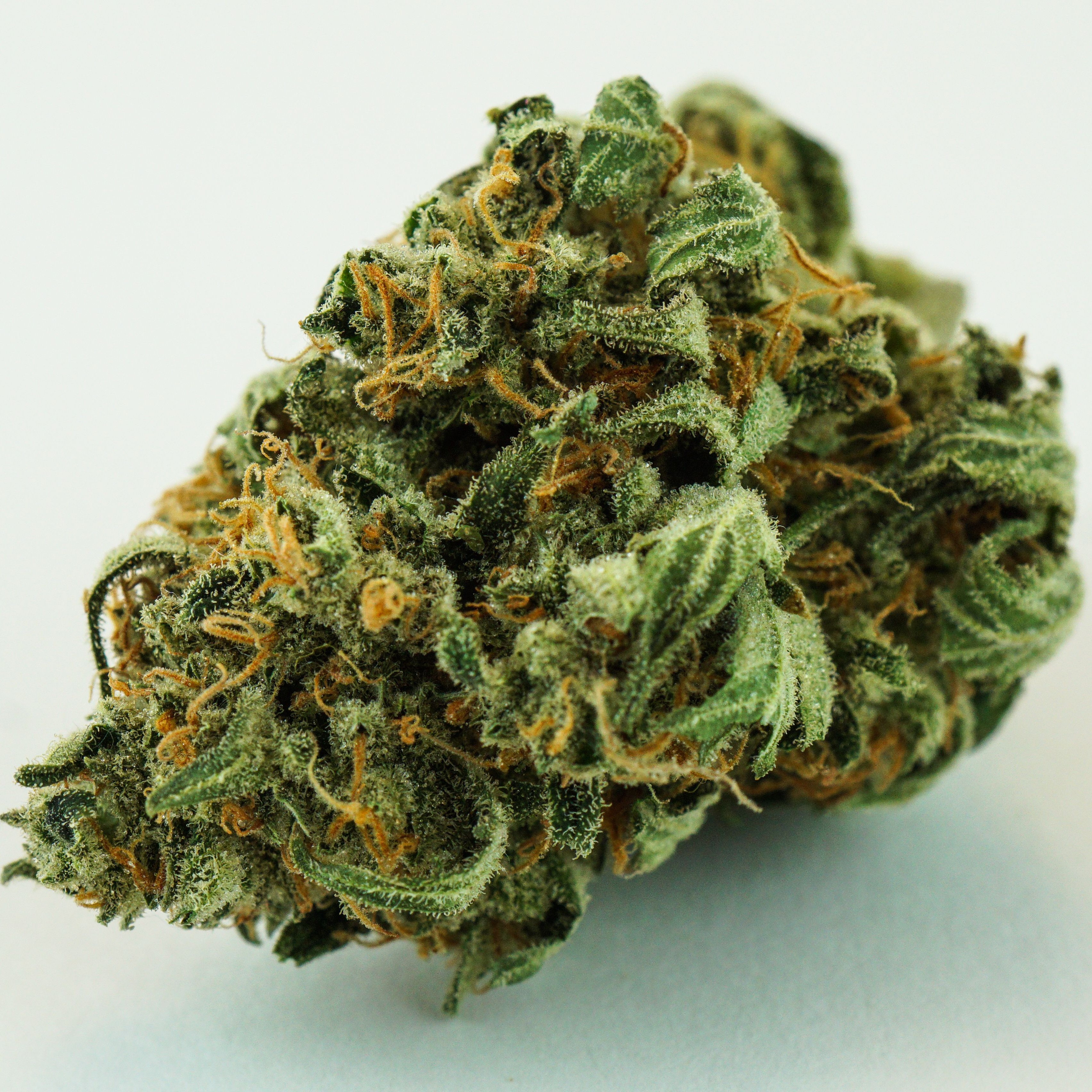 project 007 strain leafly