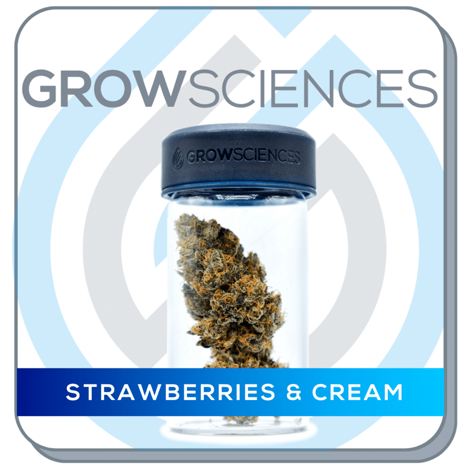 Grow Sciences Strawberries and Cream Leafly