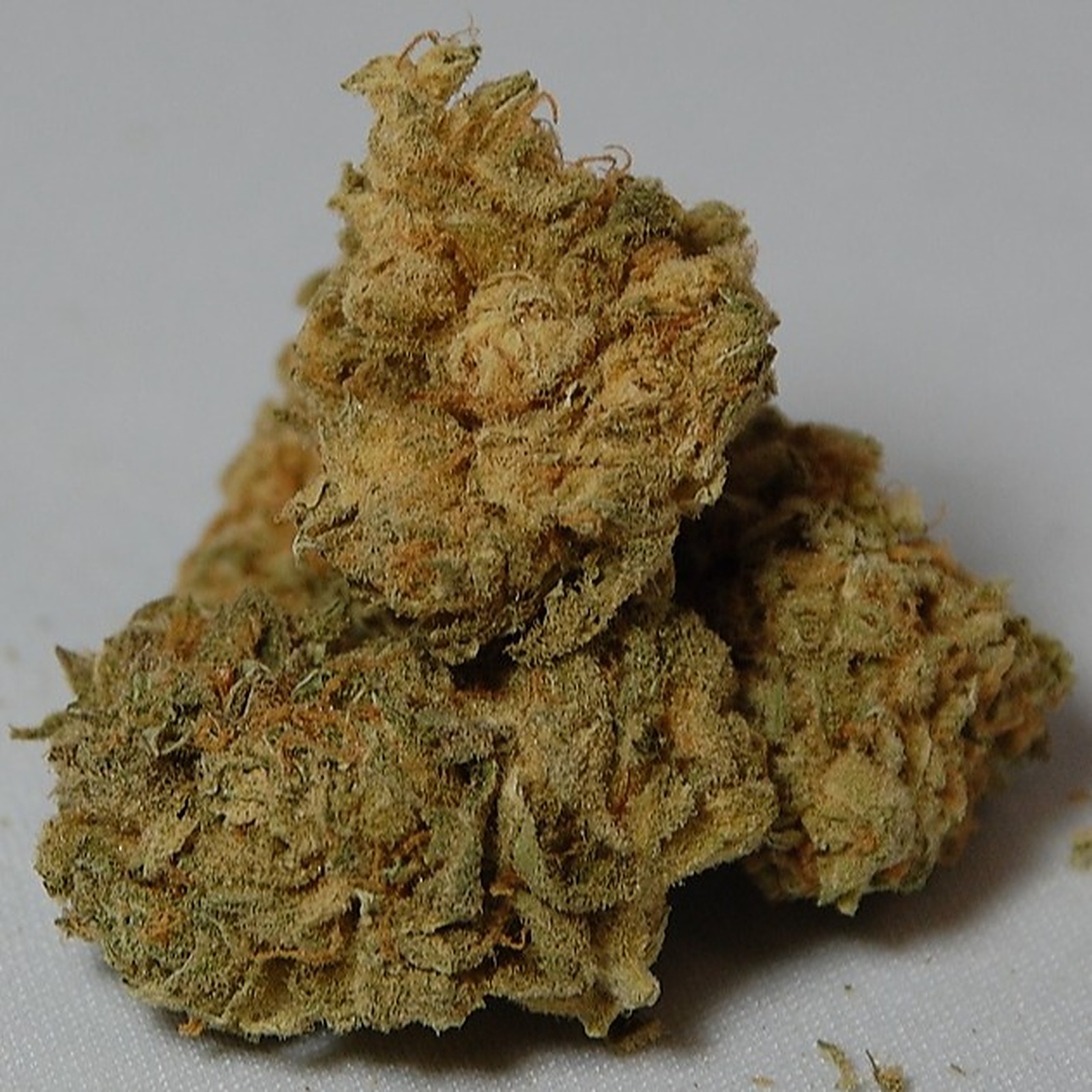 Dykstra Greenhouses Lemon Pepper Spice Leafly