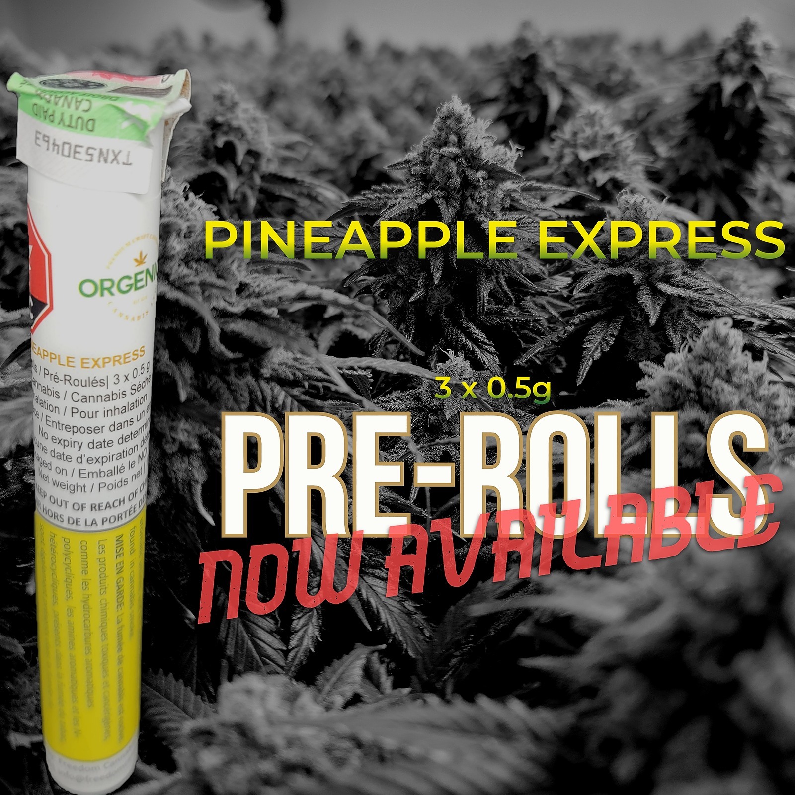 Pineapple Express Pre-Rolls