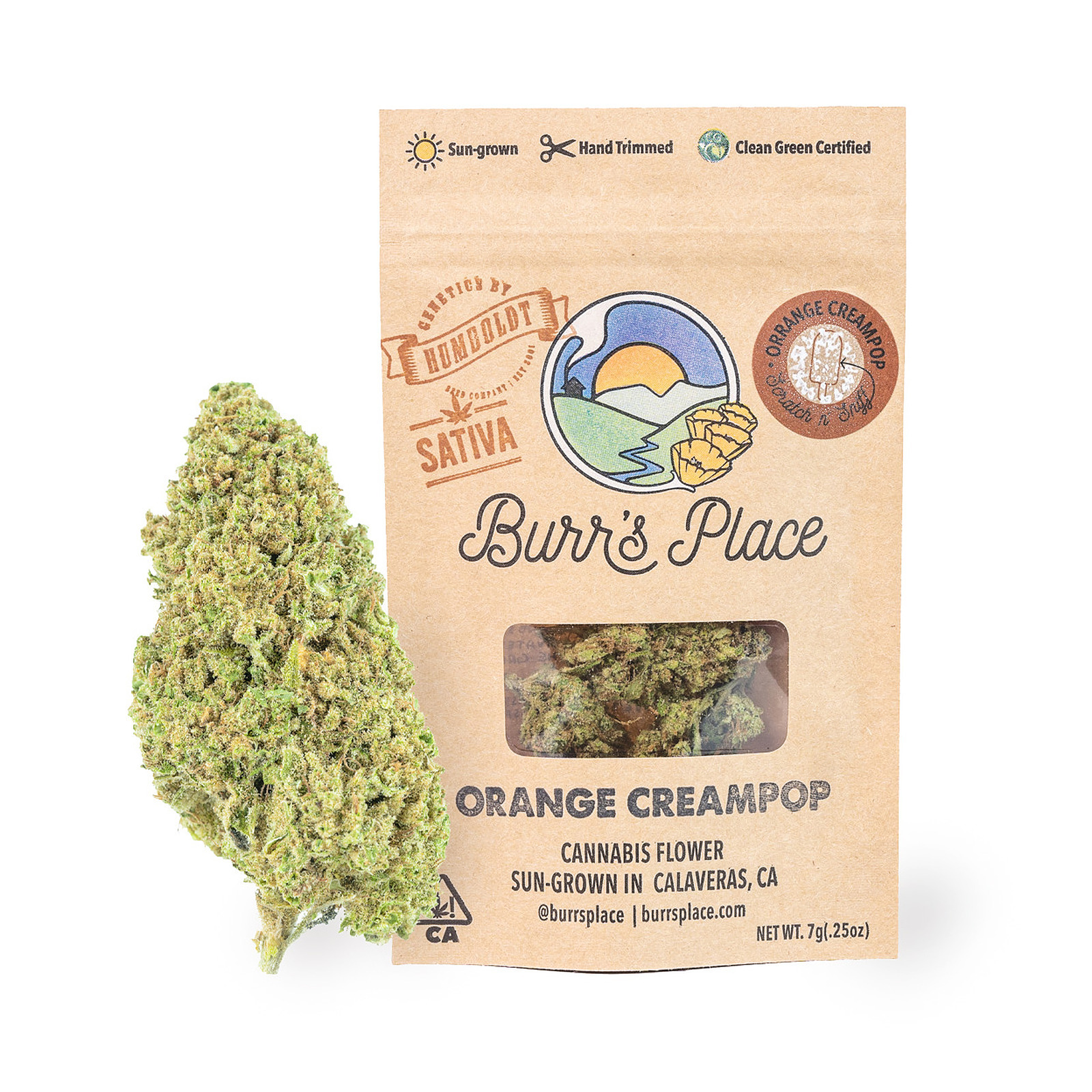 Burr's Place — Orange Creampop