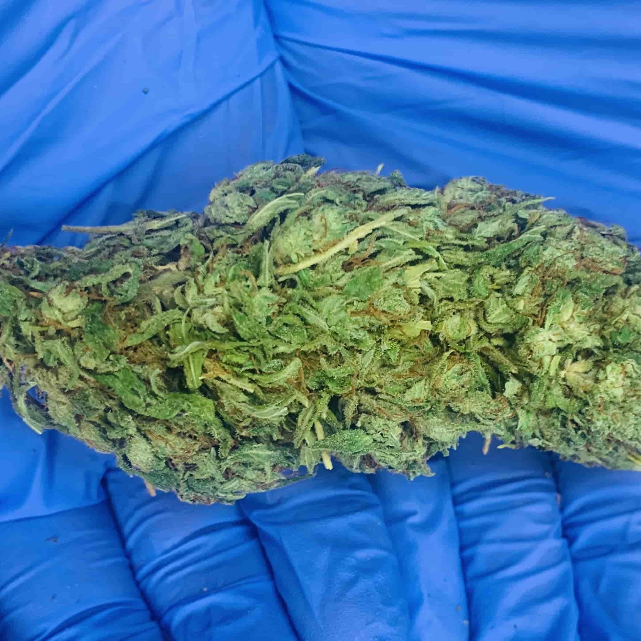 Industrial Hemp Farms Indica Kush Premium Indoor CBD Hemp Flower Leafly