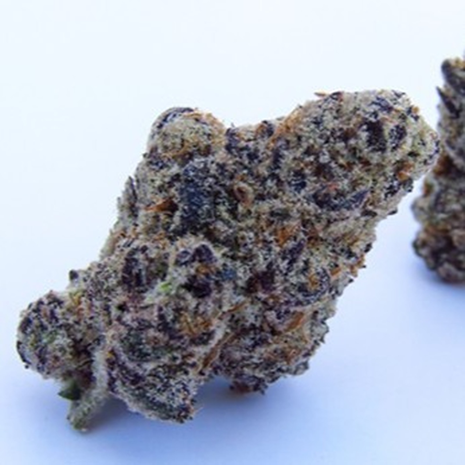 NukeHeads Purple Biscotti Fem Seeds Leafly