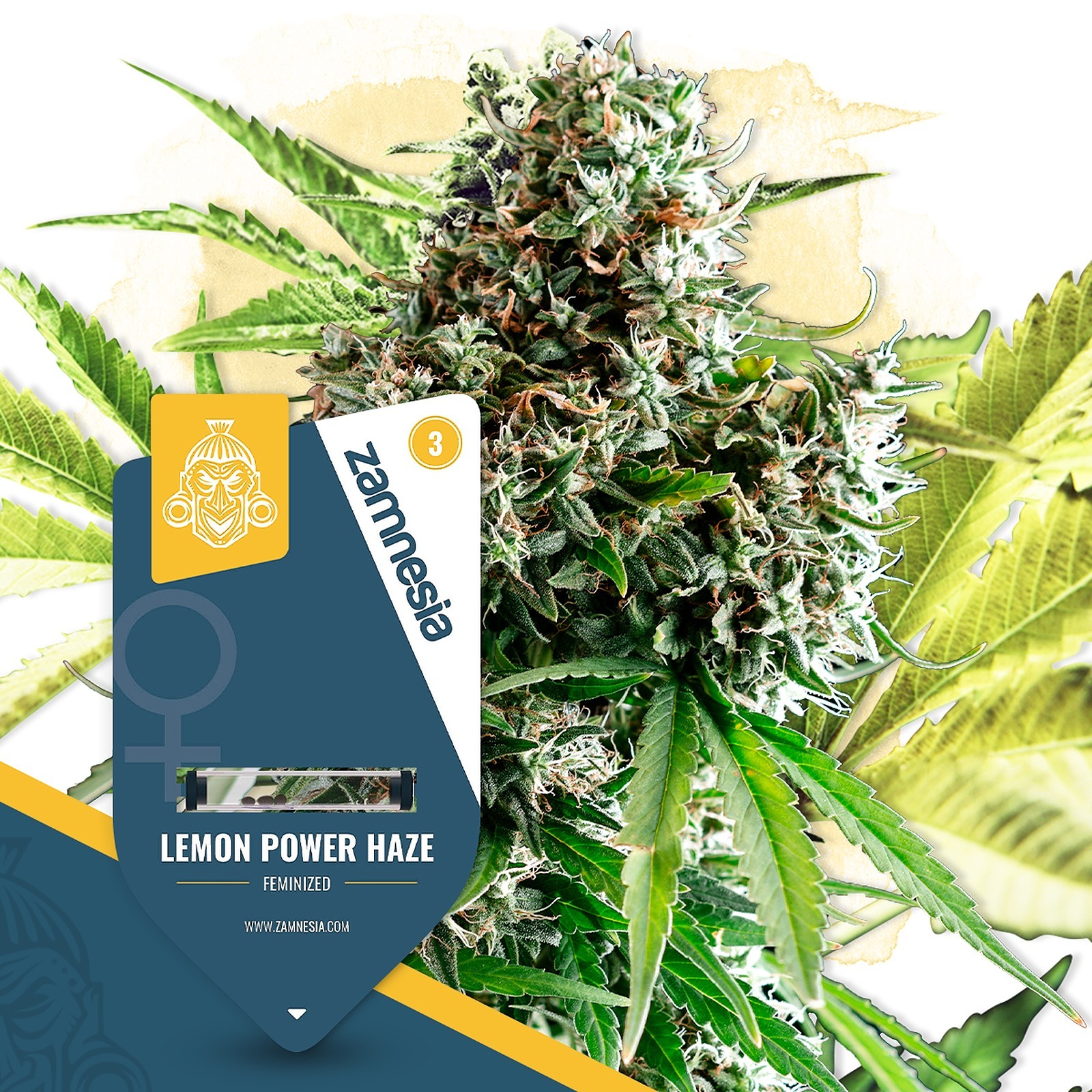 Zamnesia: Lemon Power Haze Feminized by Zamnesia Seeds | Leafly