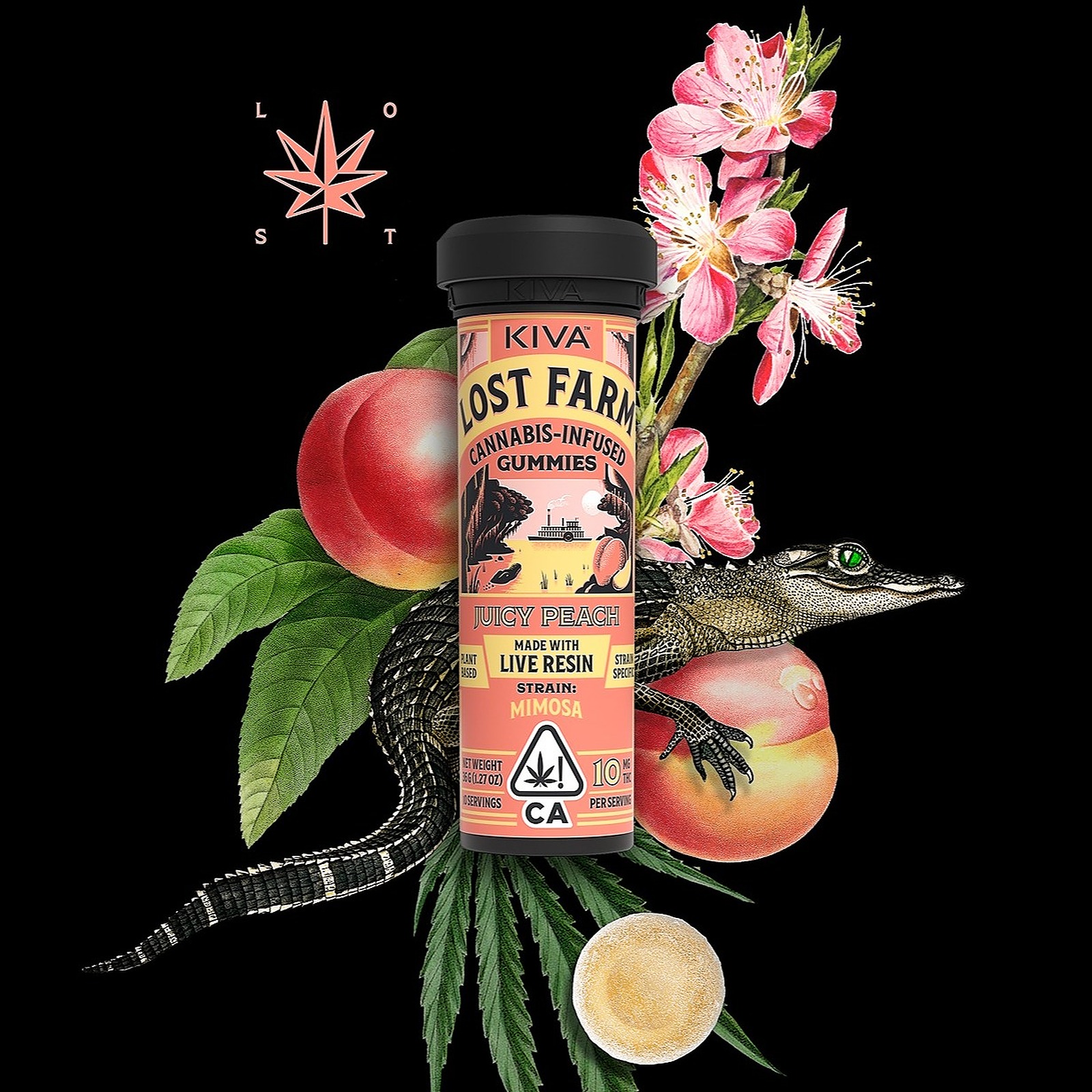 Lost Farm: 10mg Lost Farm 'Mimosa x Juicy Peach' Live Resin