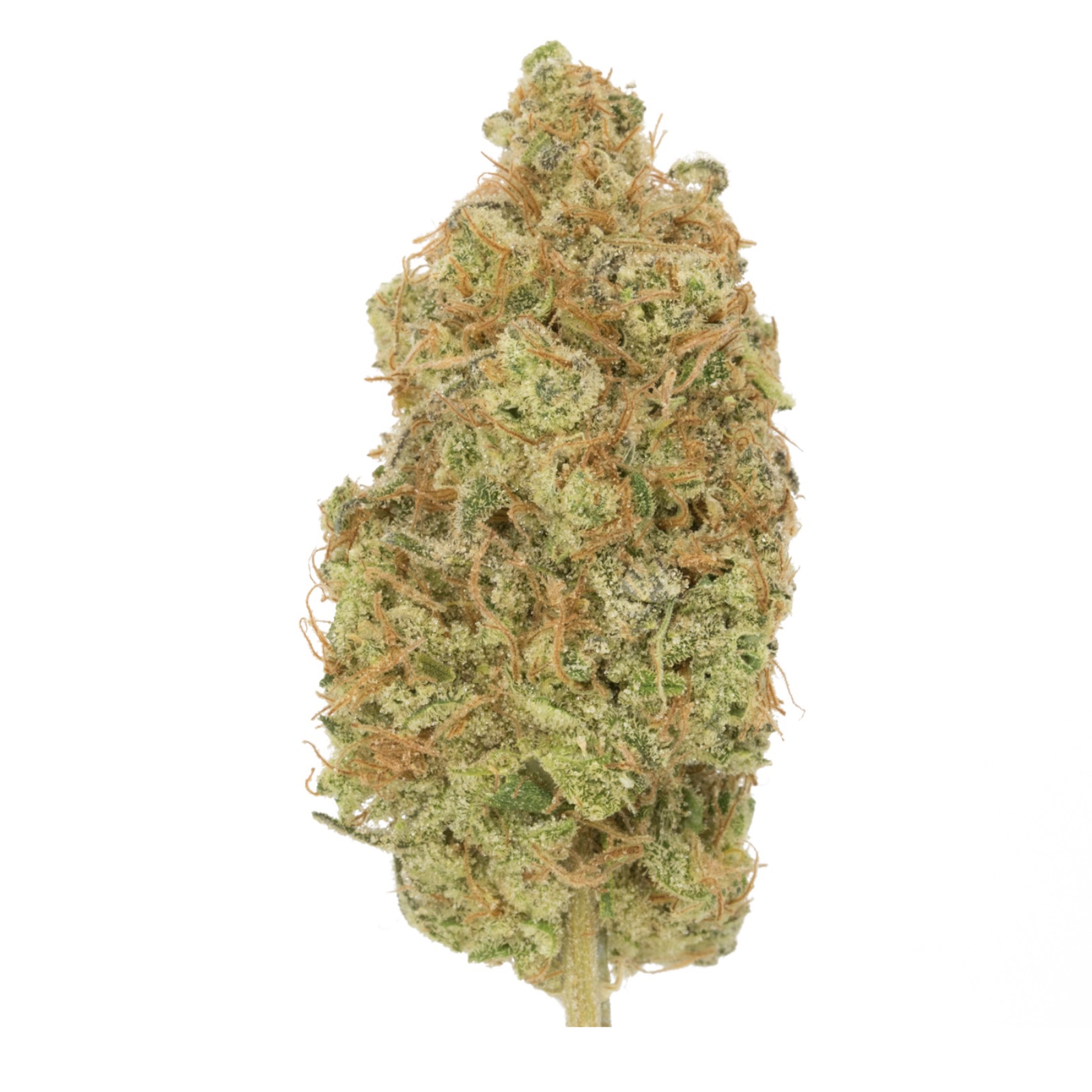 DTF Downtown Flower Cotton Candy Cane Leafly