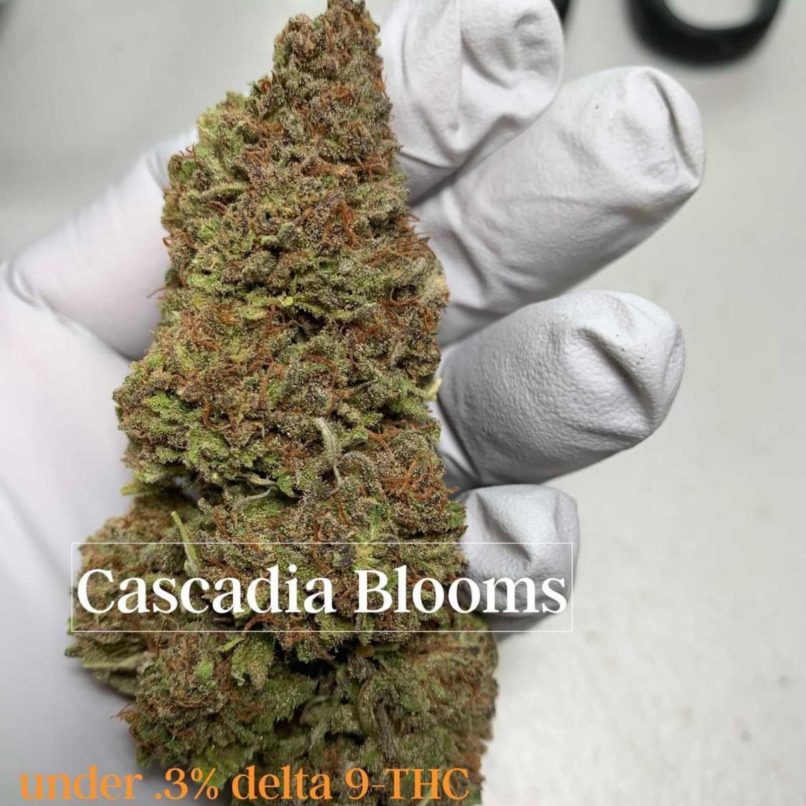 Cascadia Blooms 3 Pack eighth ounce (10.5 g) CBD Flower Tops Sampler