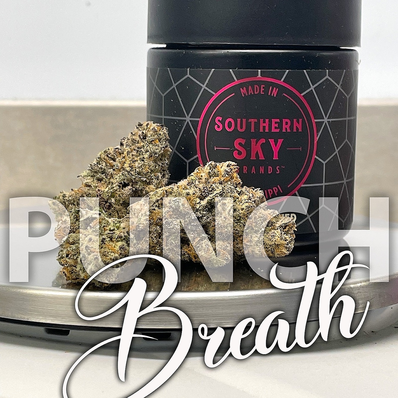 Saiypirates Breath Strain 32 - fhdq24e