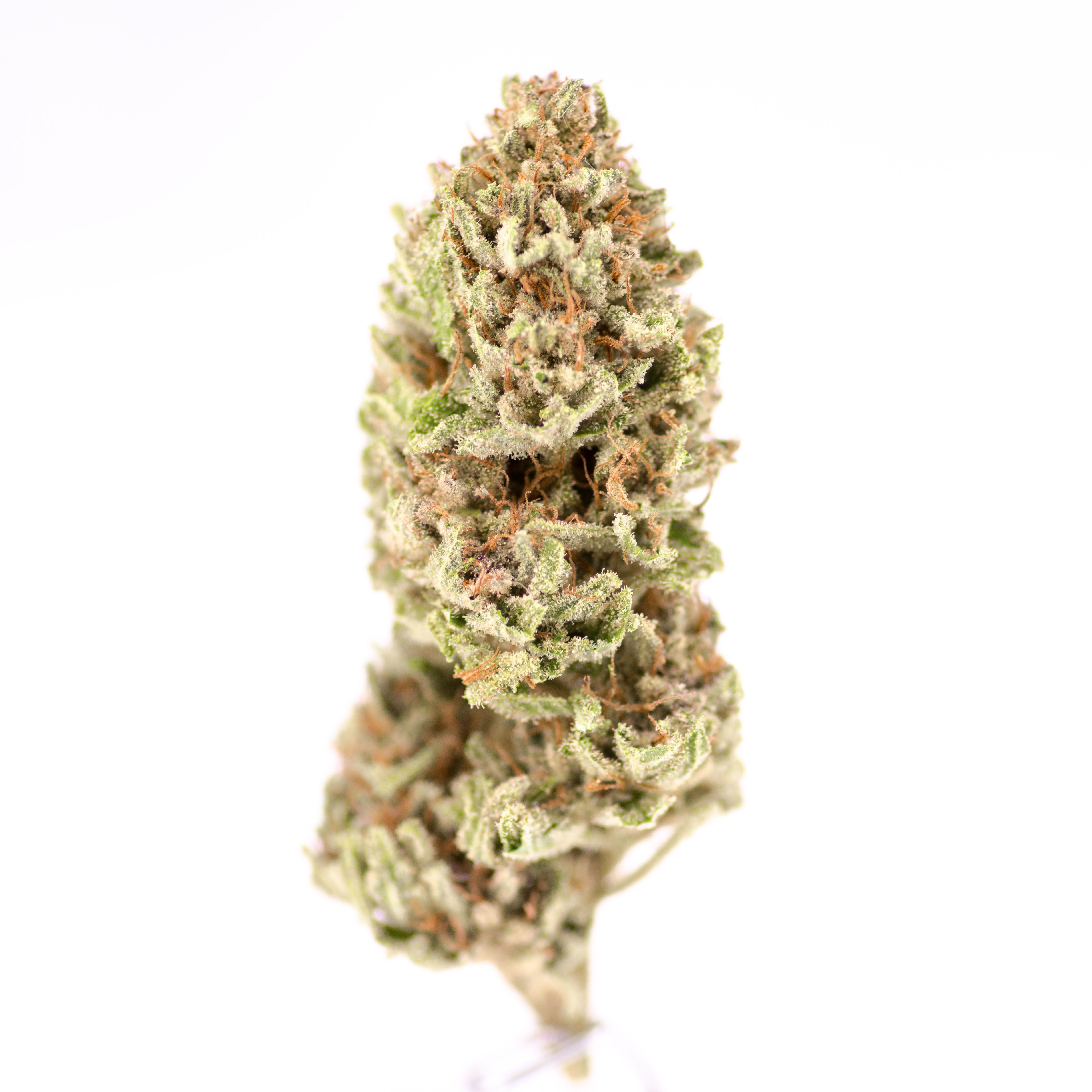 Pink Lemonade Leafly