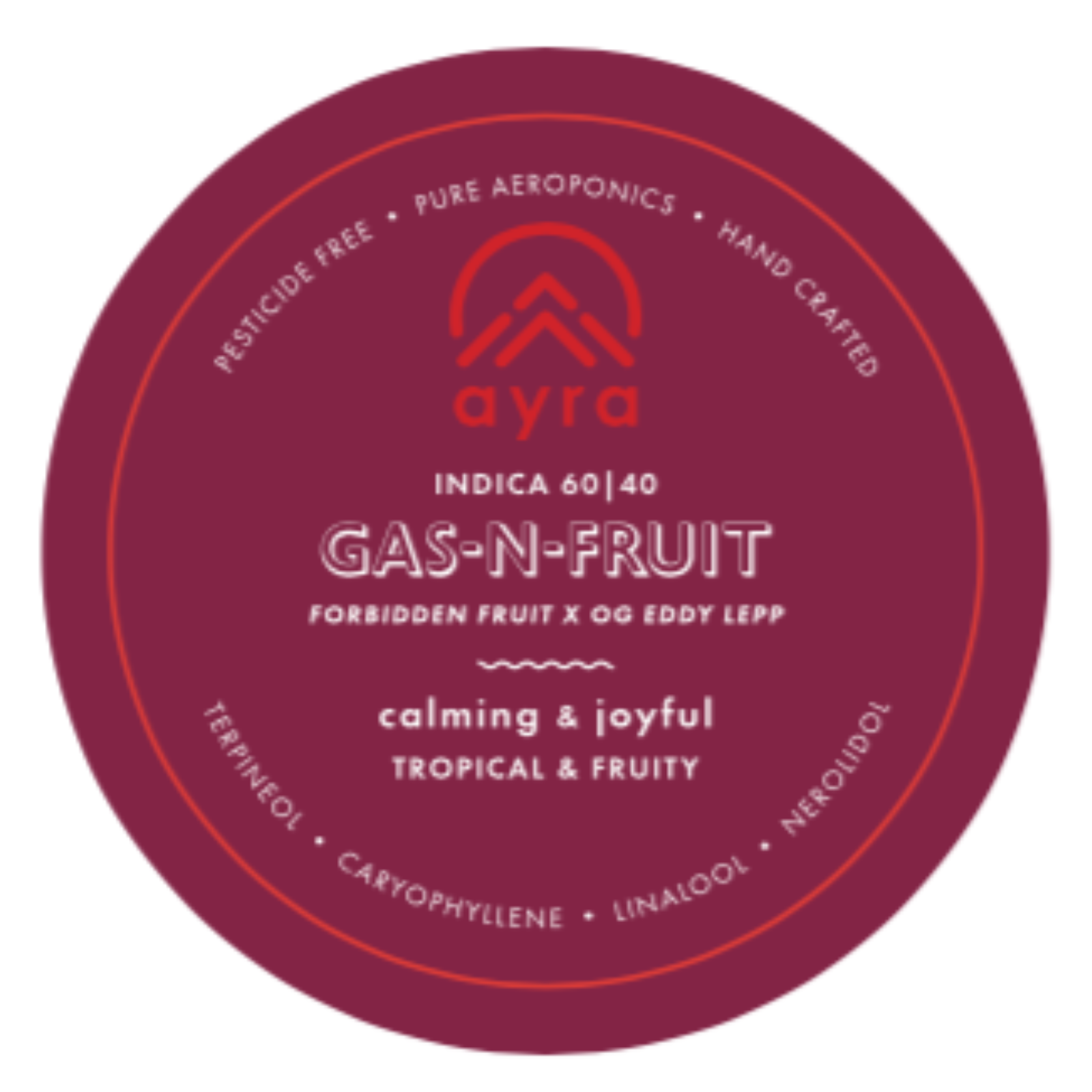 gasfruit