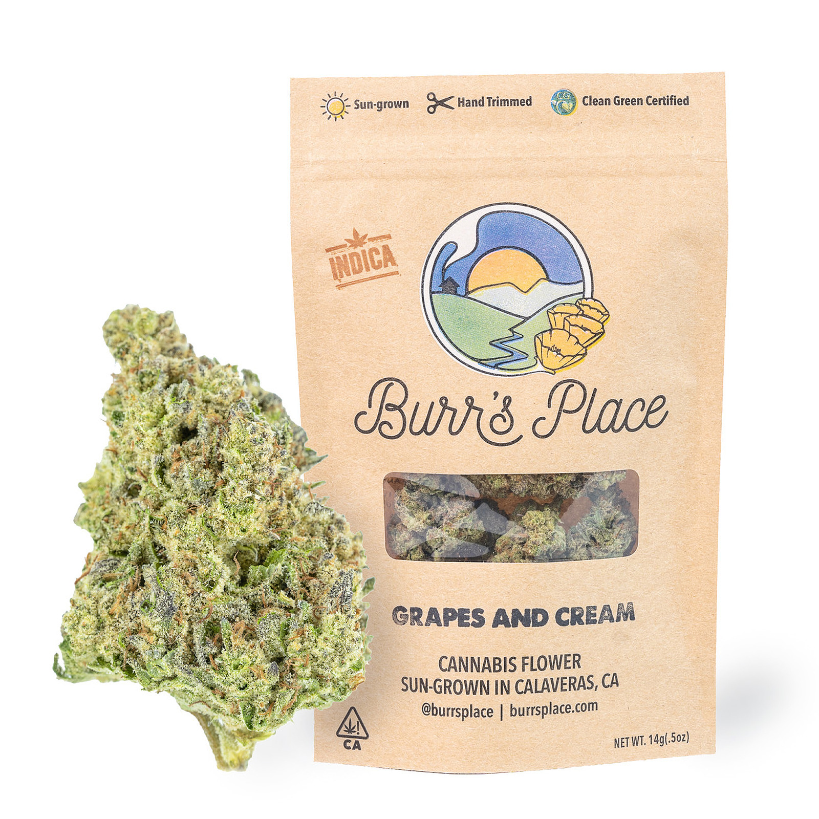 Burr's Place Grapes & Cream 14g Bag Leafly