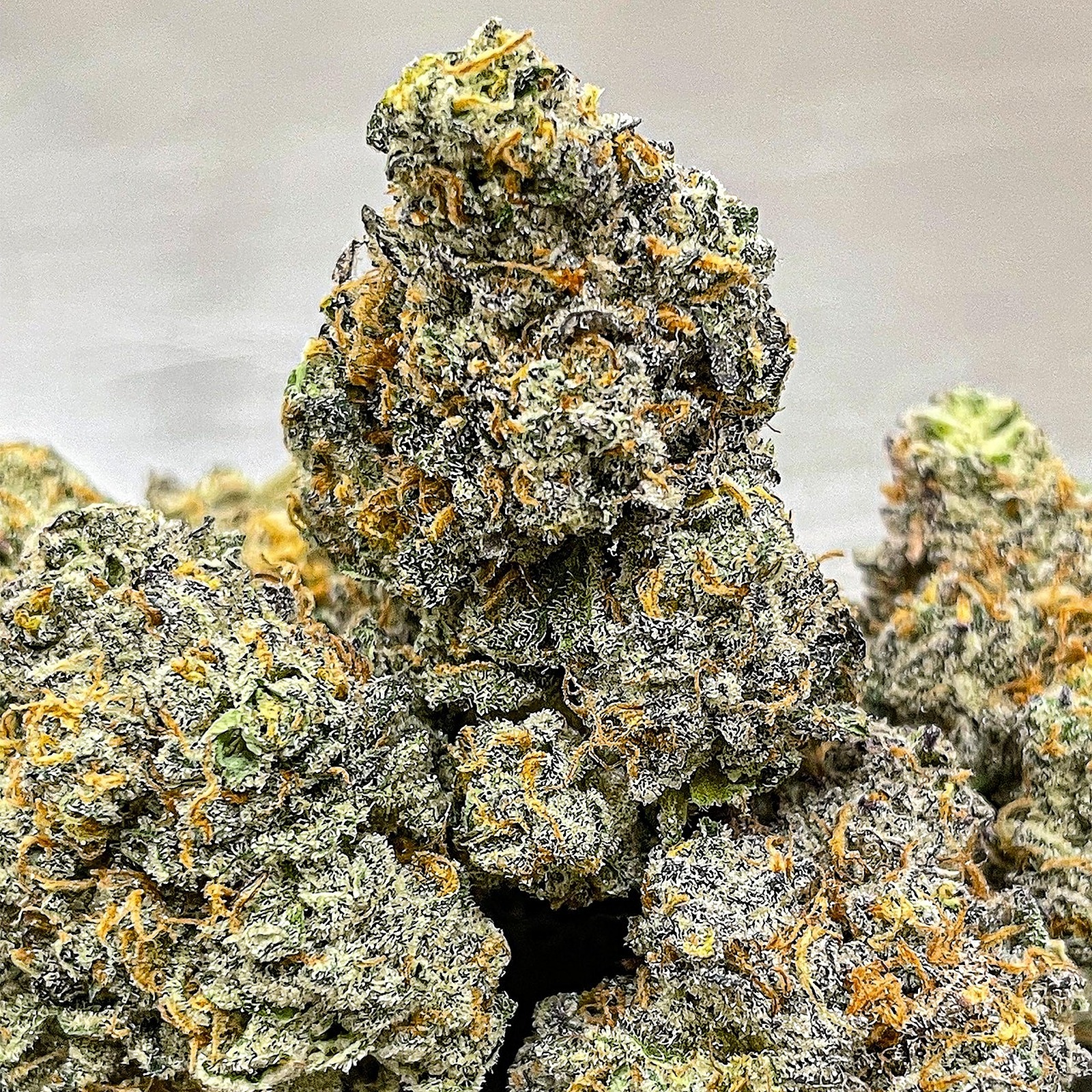 7 Leaf OK Scotti's Cake Leafly