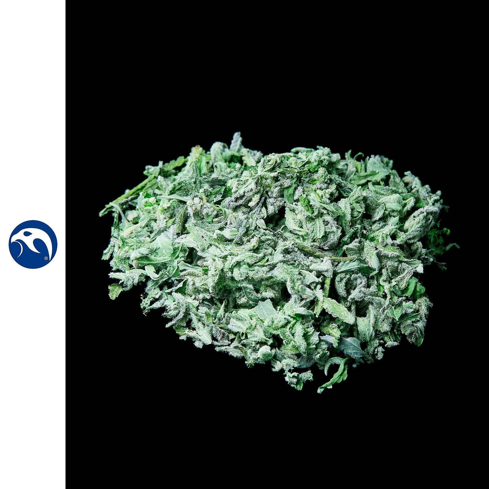 Falcanna Candy Queen Sugar Trim Leafly