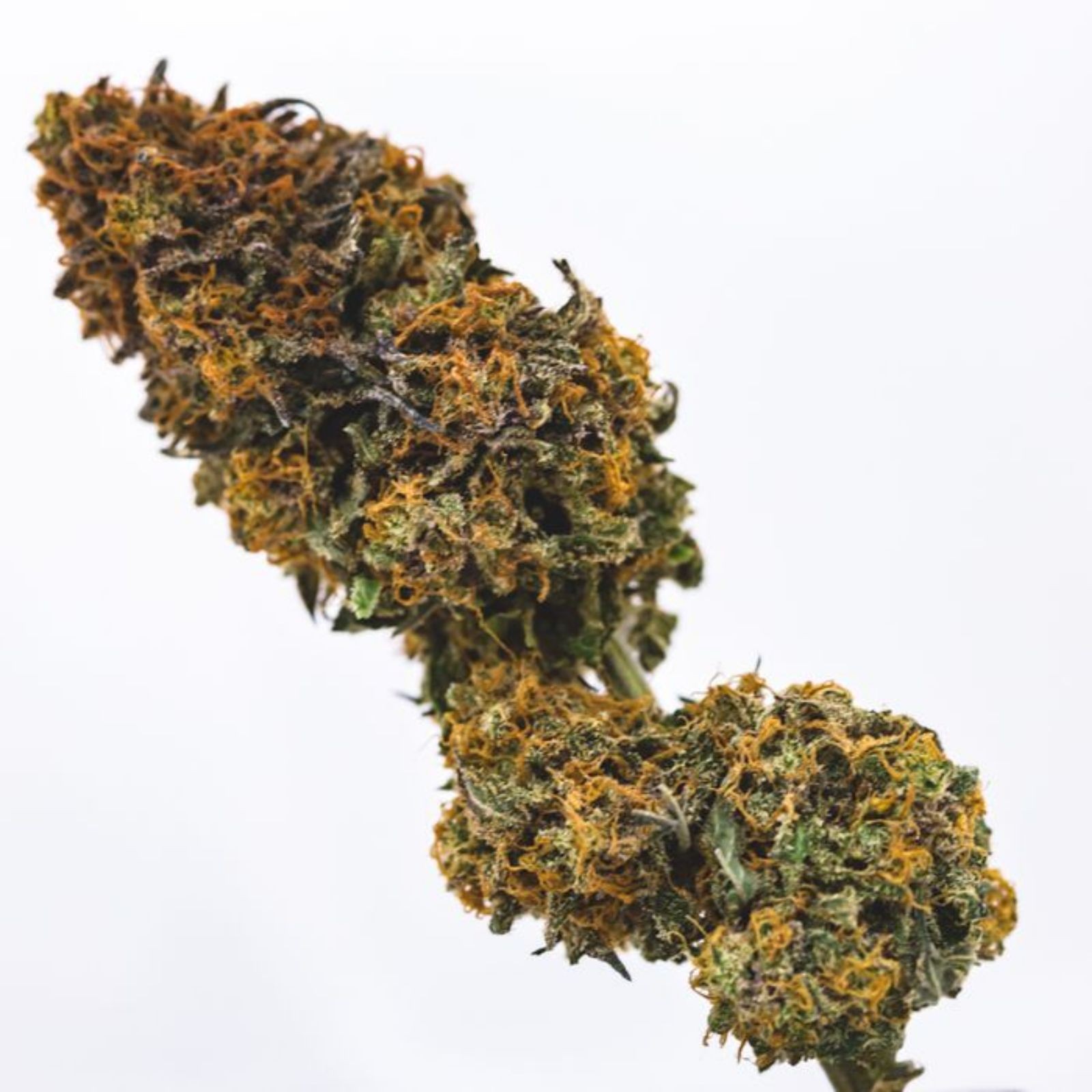 Orange Fruity Pebbles Leafly