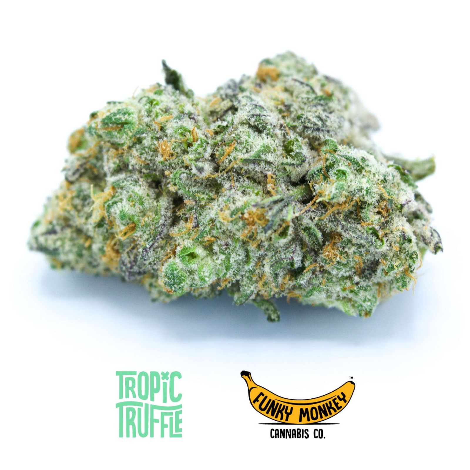Funky Monkey Cannabis Co. Tropic Truffle Leafly