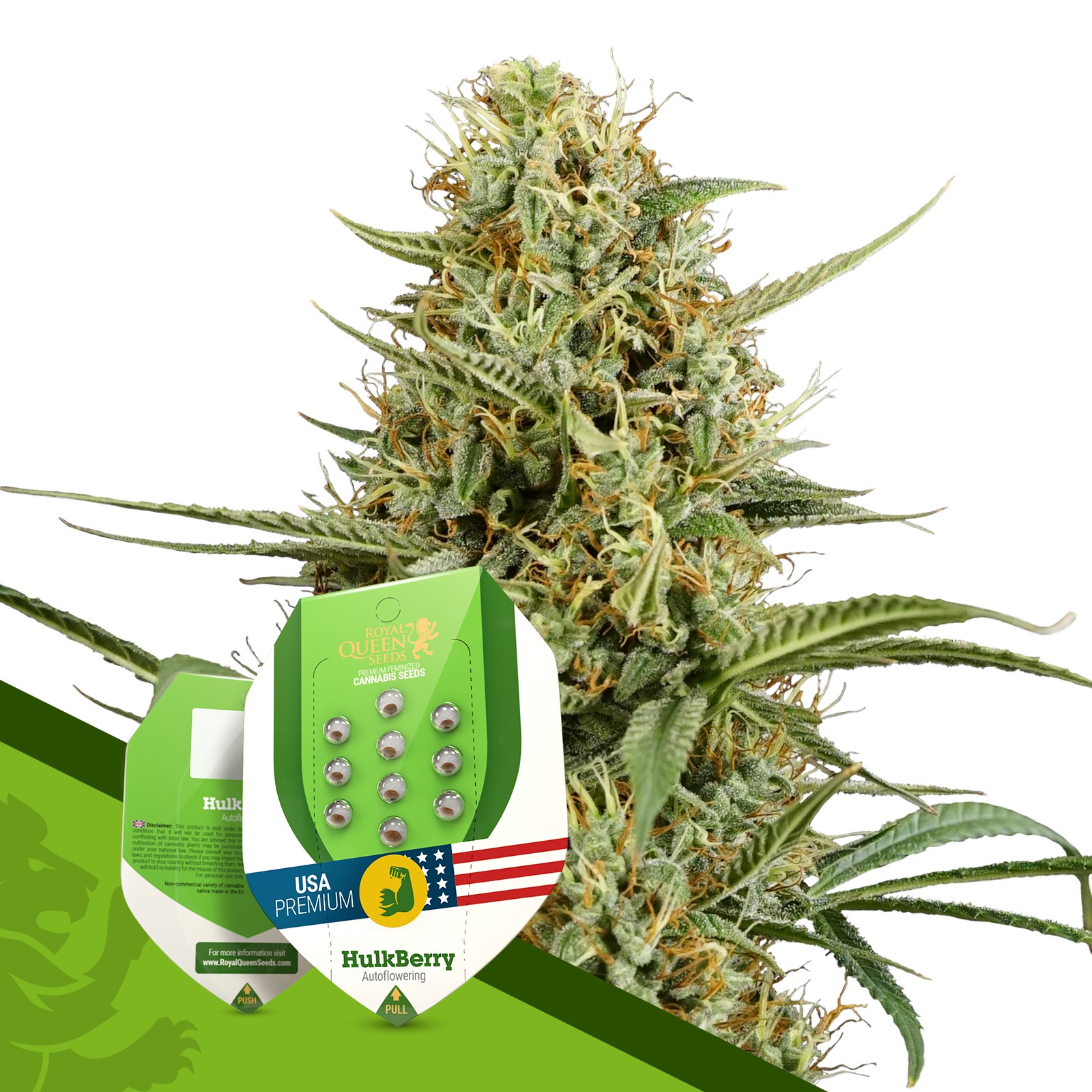 Royal Queen Seeds Hulkberry Automatic Leafly