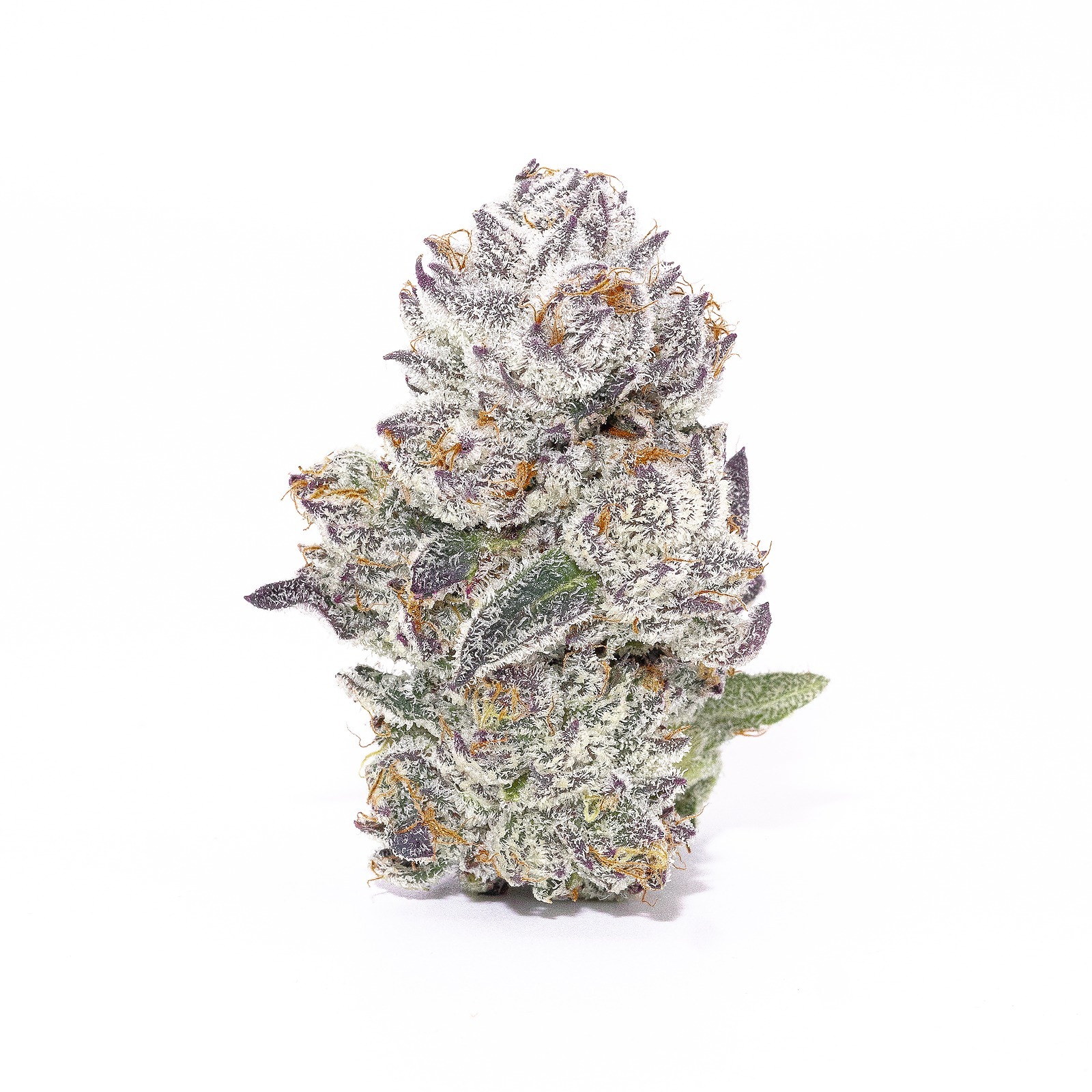 Blue Chip Peanut Butter Mintz Leafly