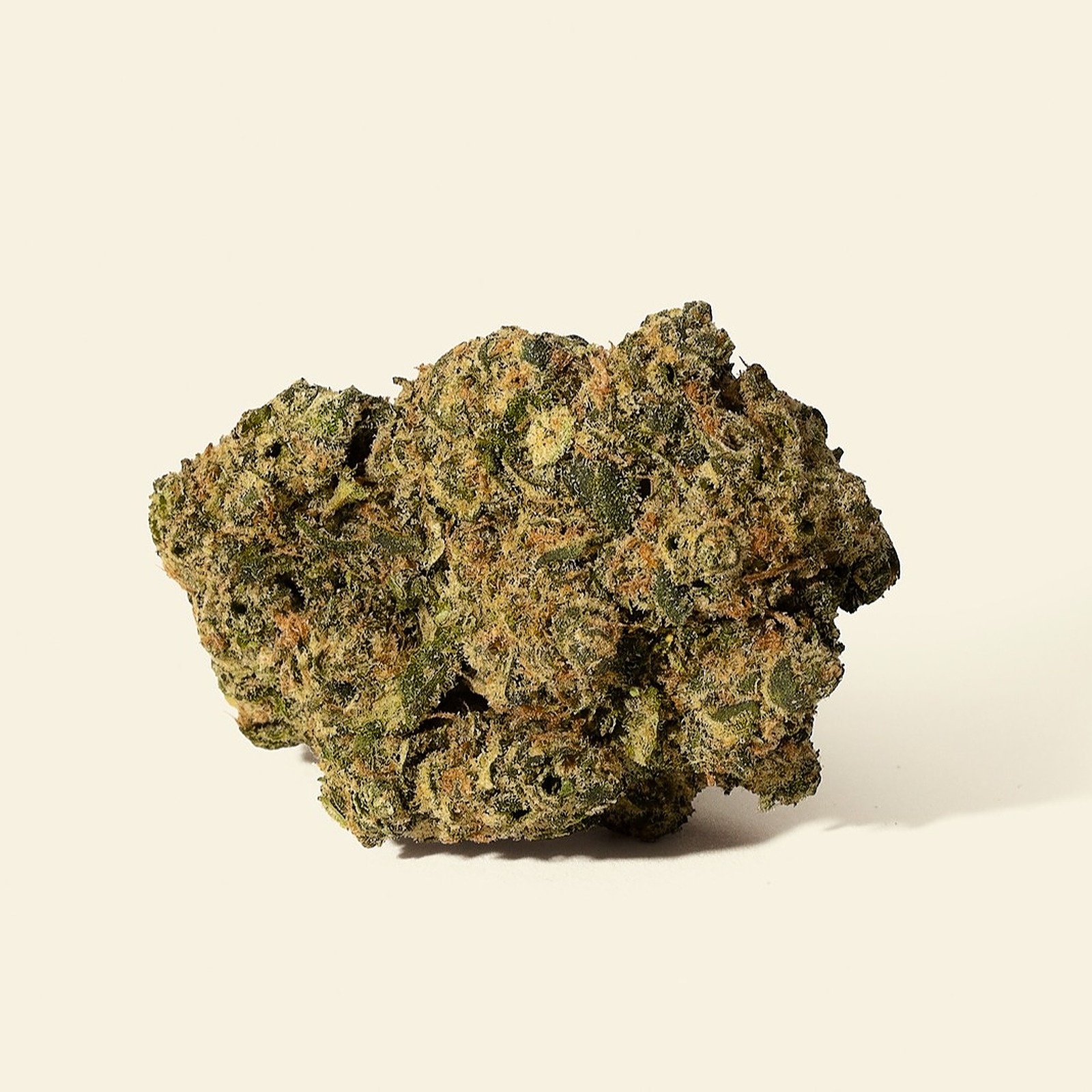 Houseplant Strawberry Moon Leafly