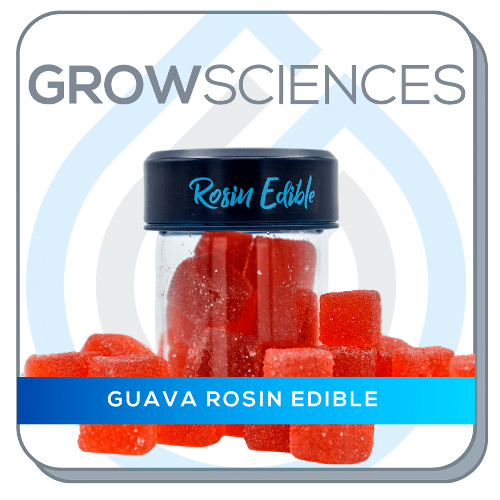 Rosin Science Evolve White – Rosin Science