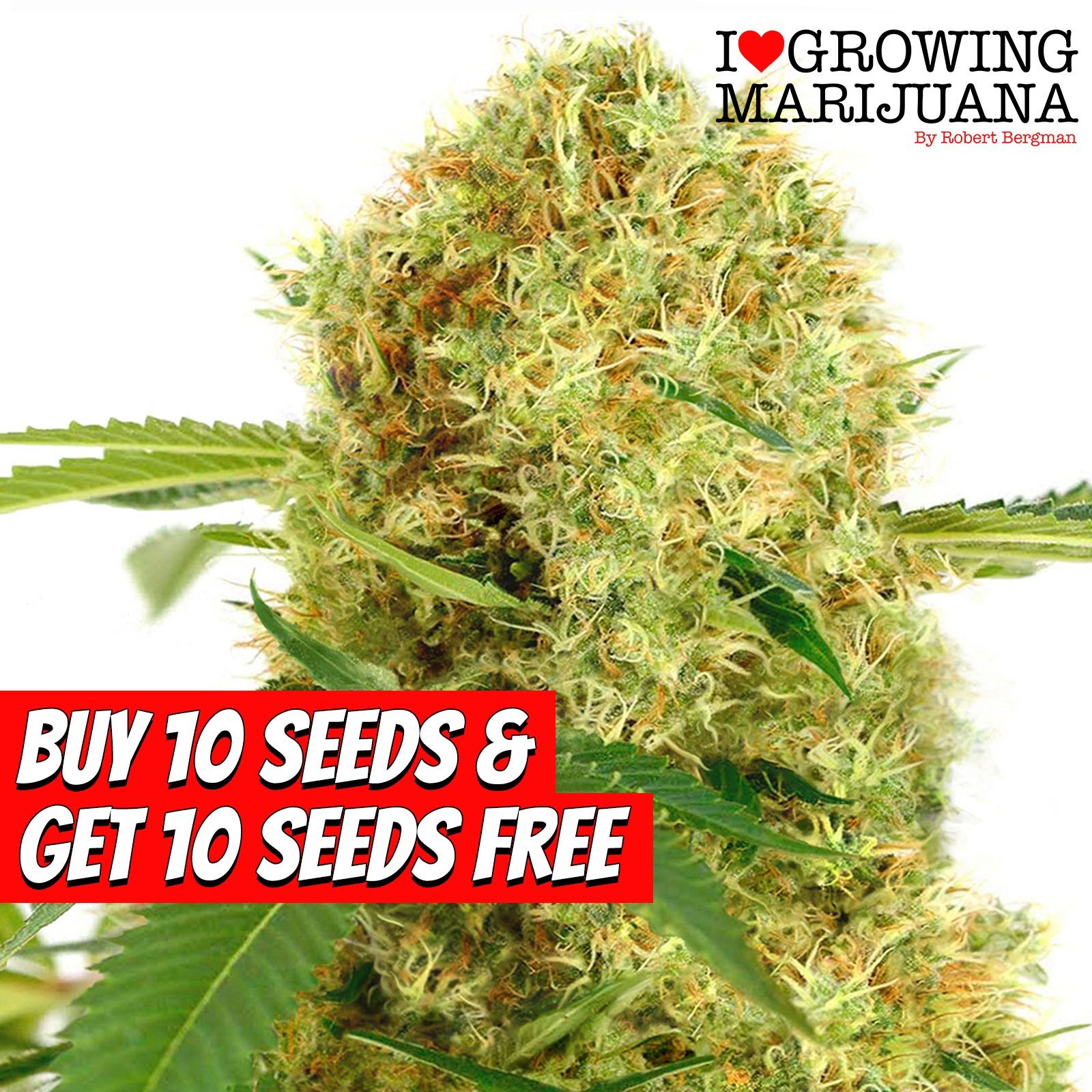 Love Growing Marijuana - 896l3tg