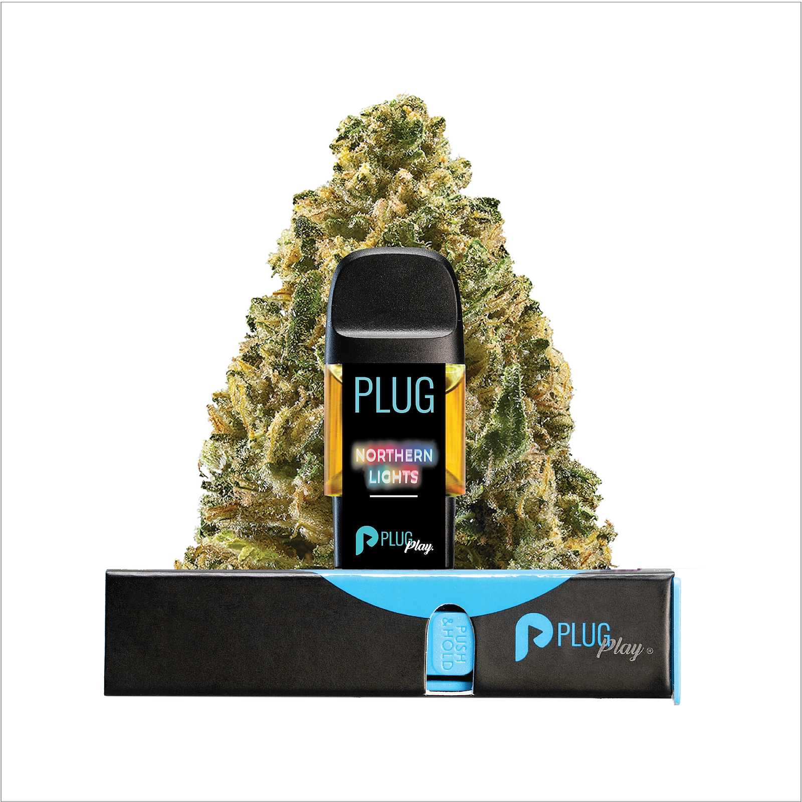 PlugPlay — Northern Lights