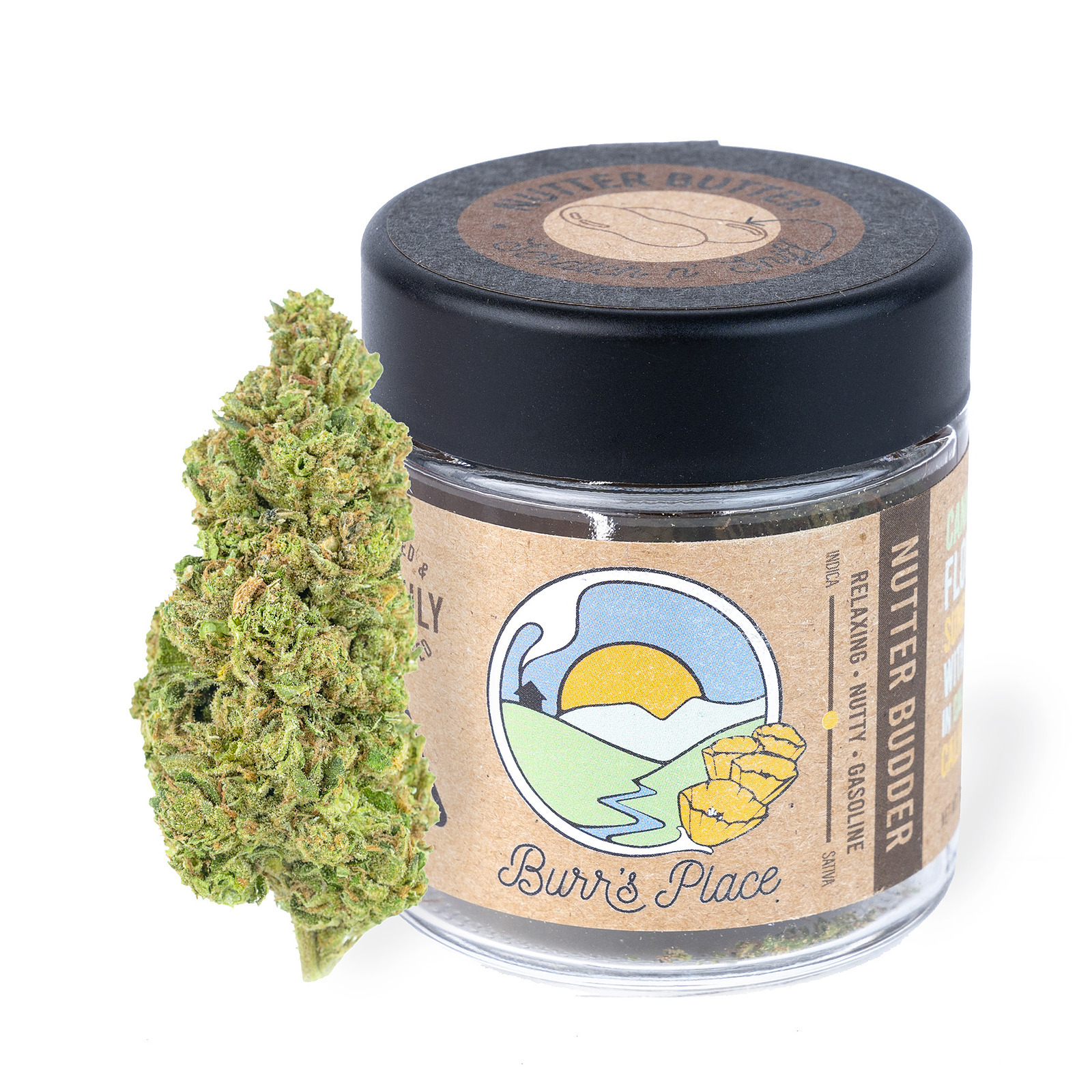 Burr's Place Nutter Budder 3.5g Jar Leafly