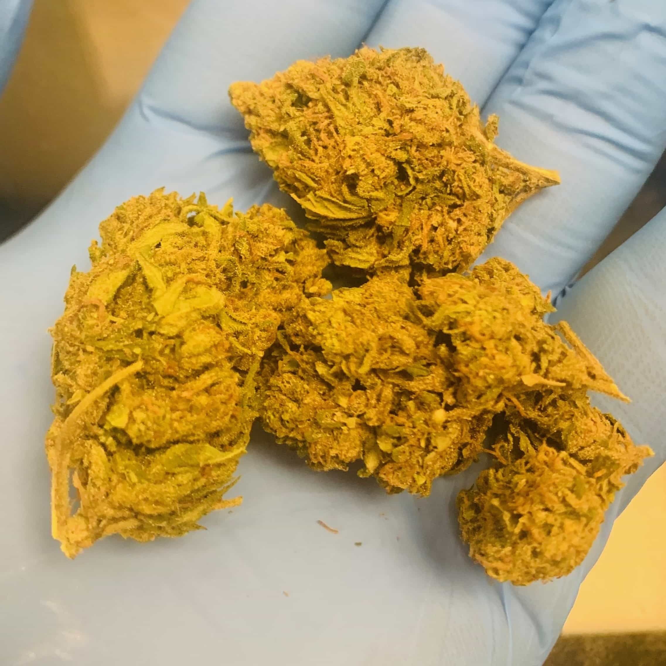Birthday Cake Strain Leafly - srvmalc