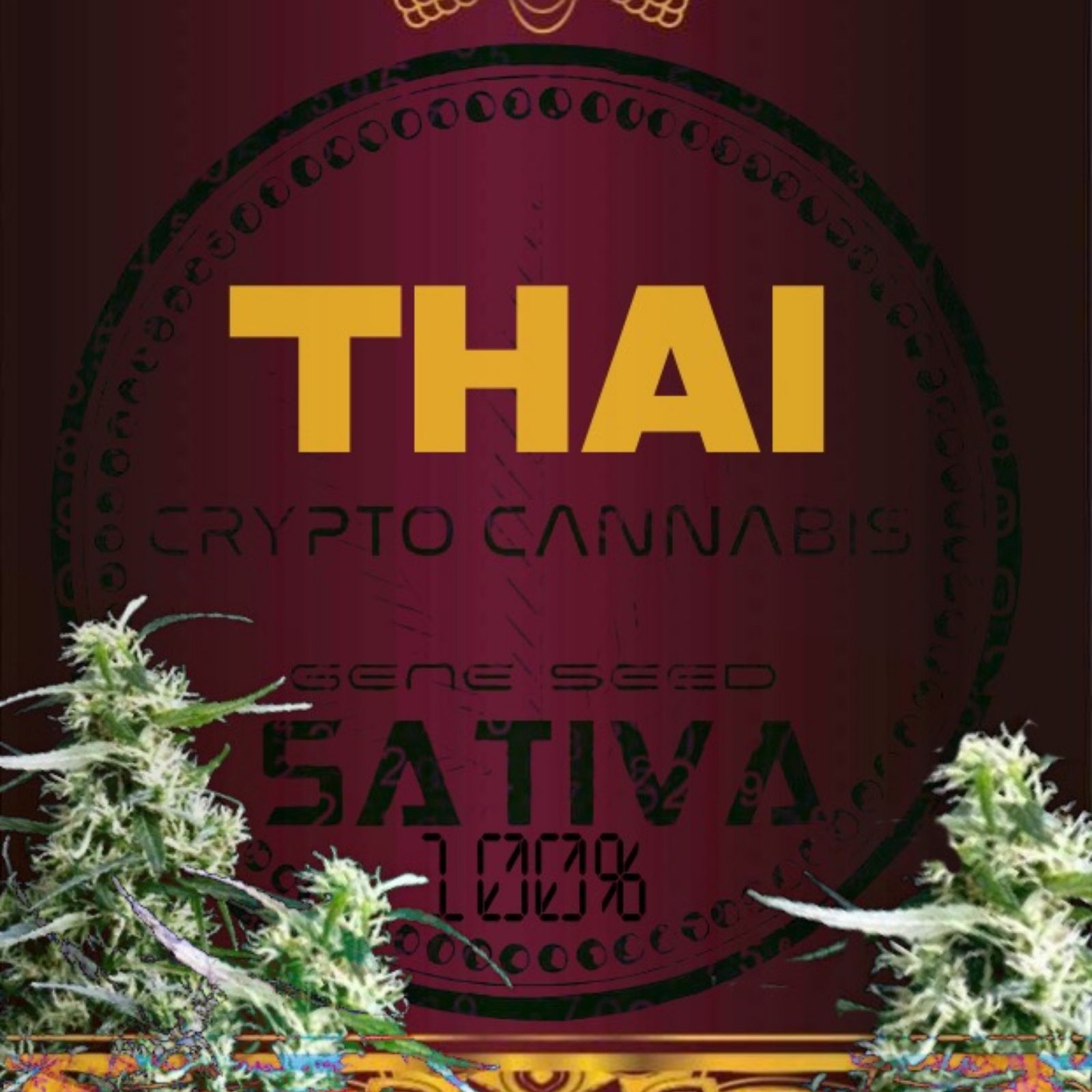 Crypto Cannabis Game: Thai | Leafly
