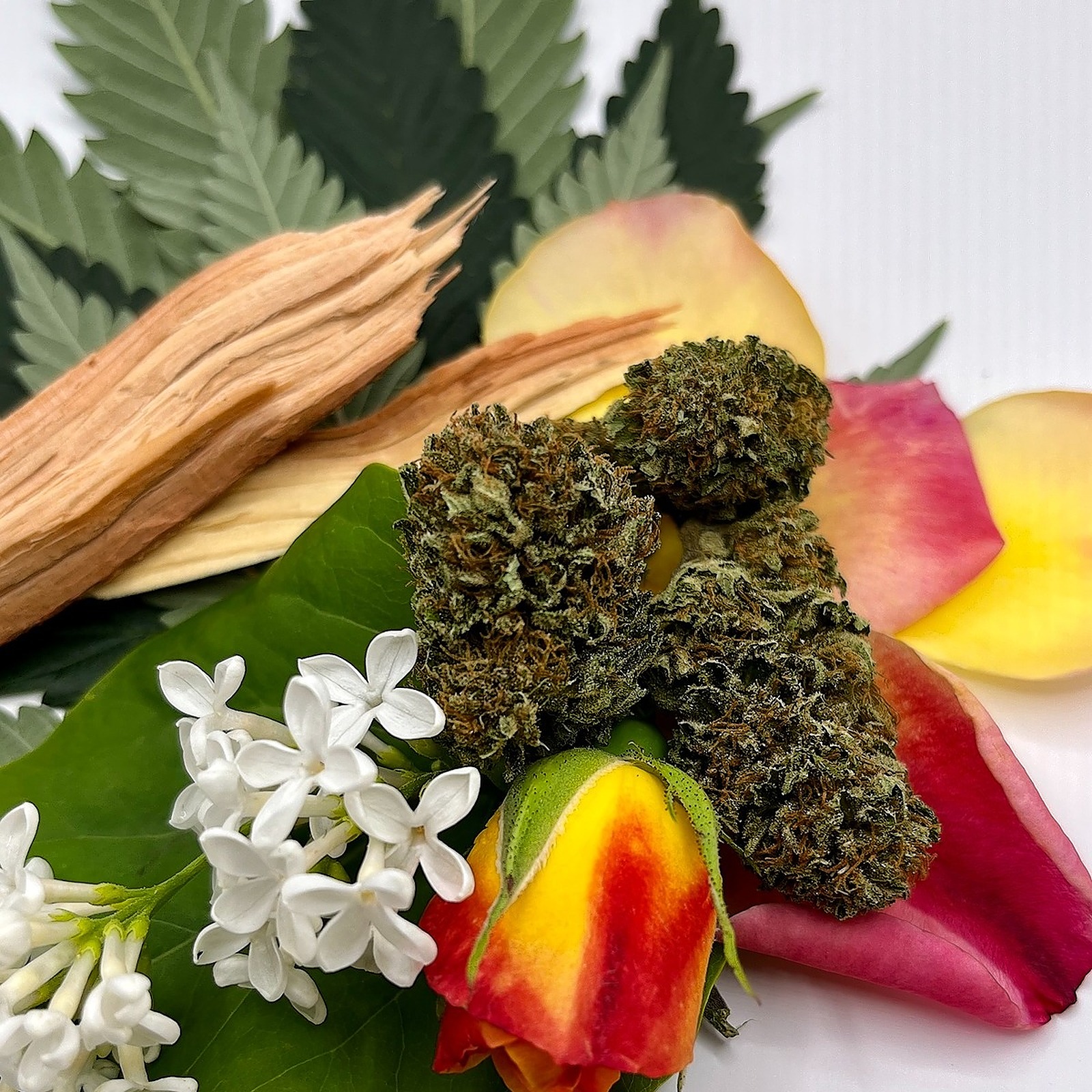 Strawberry #2 - CannabisLight Guru