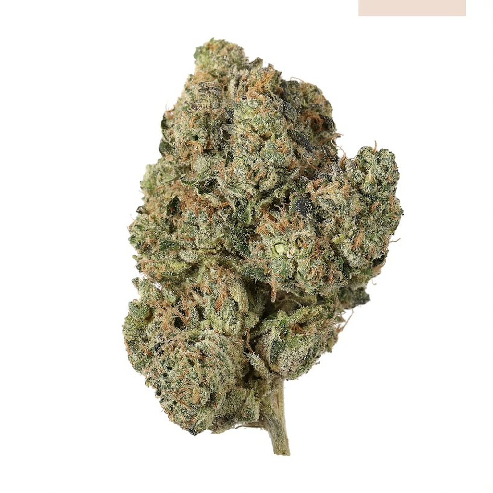 Seed & Smith: Wintergreen OG 28g | Leafly