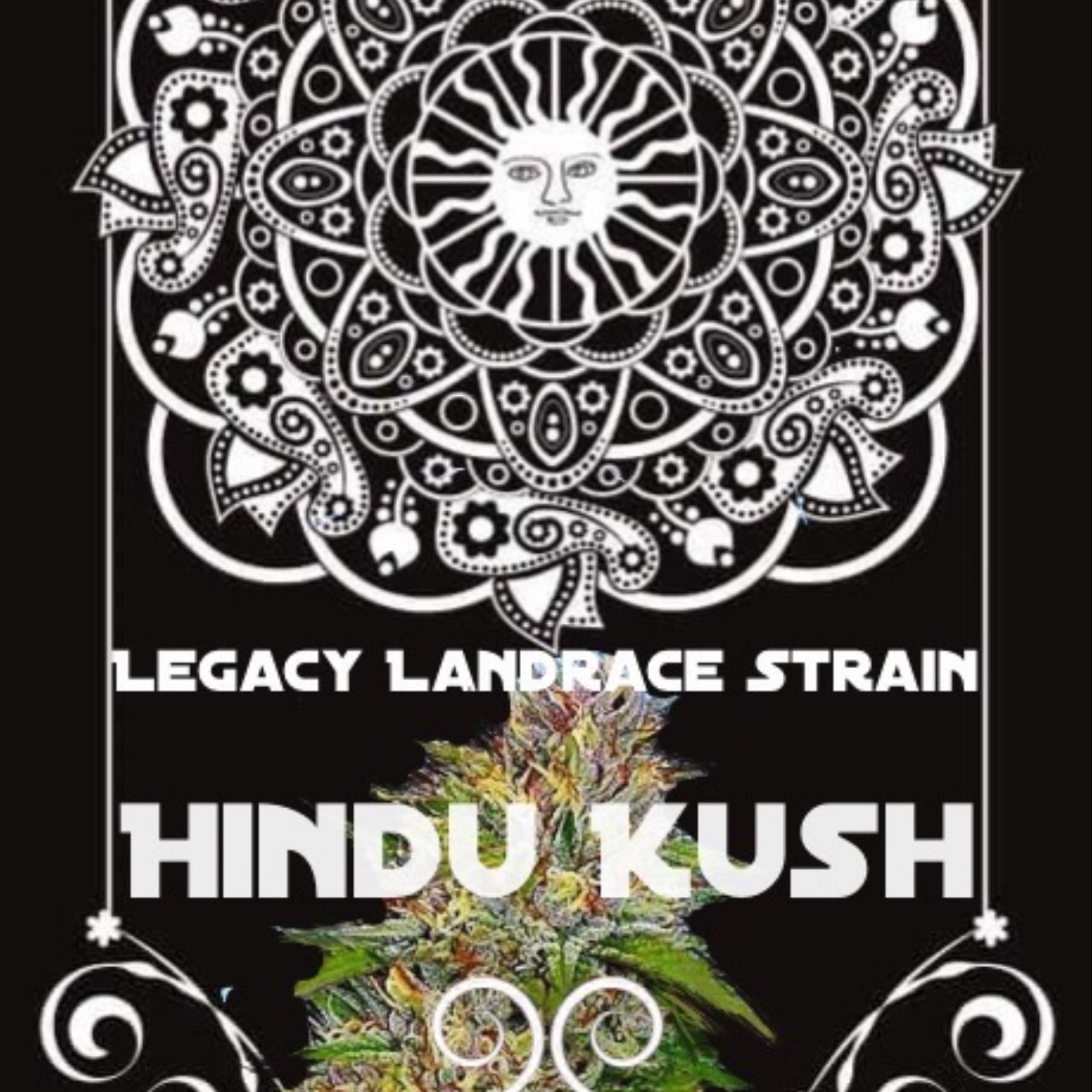 Crypto Cookies Strain Leafly - 5ztql80