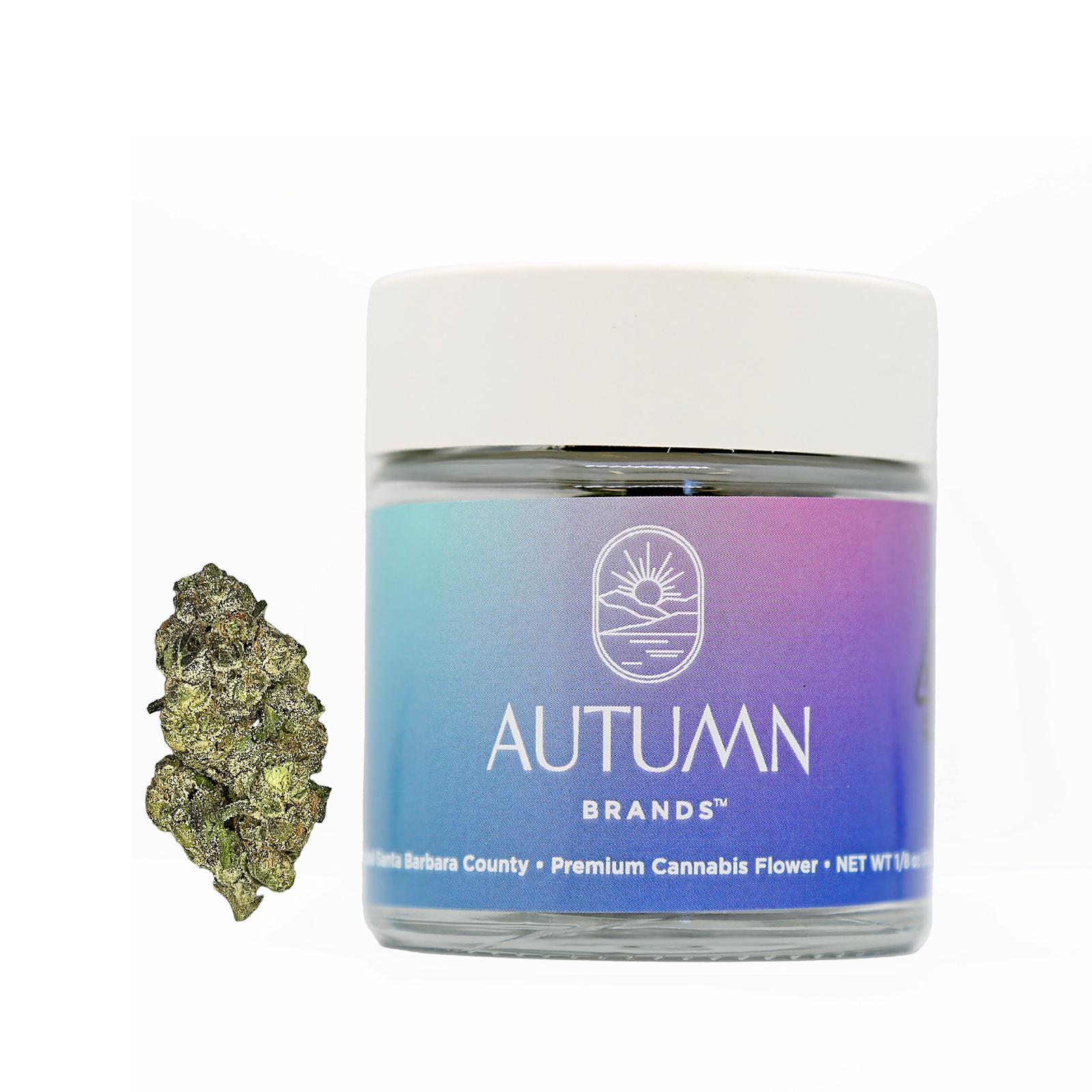 Autumn Brands: Purple Carbonite - Autumn Brands