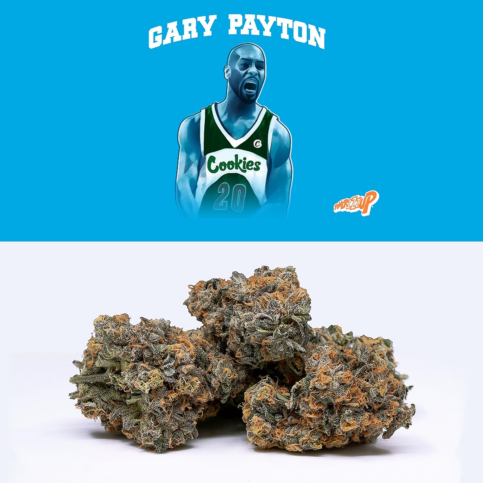 Cookies - Gary Payton - Hybrid - 3.5g at The Cannabis Guys - Etobicoke -  Leafly