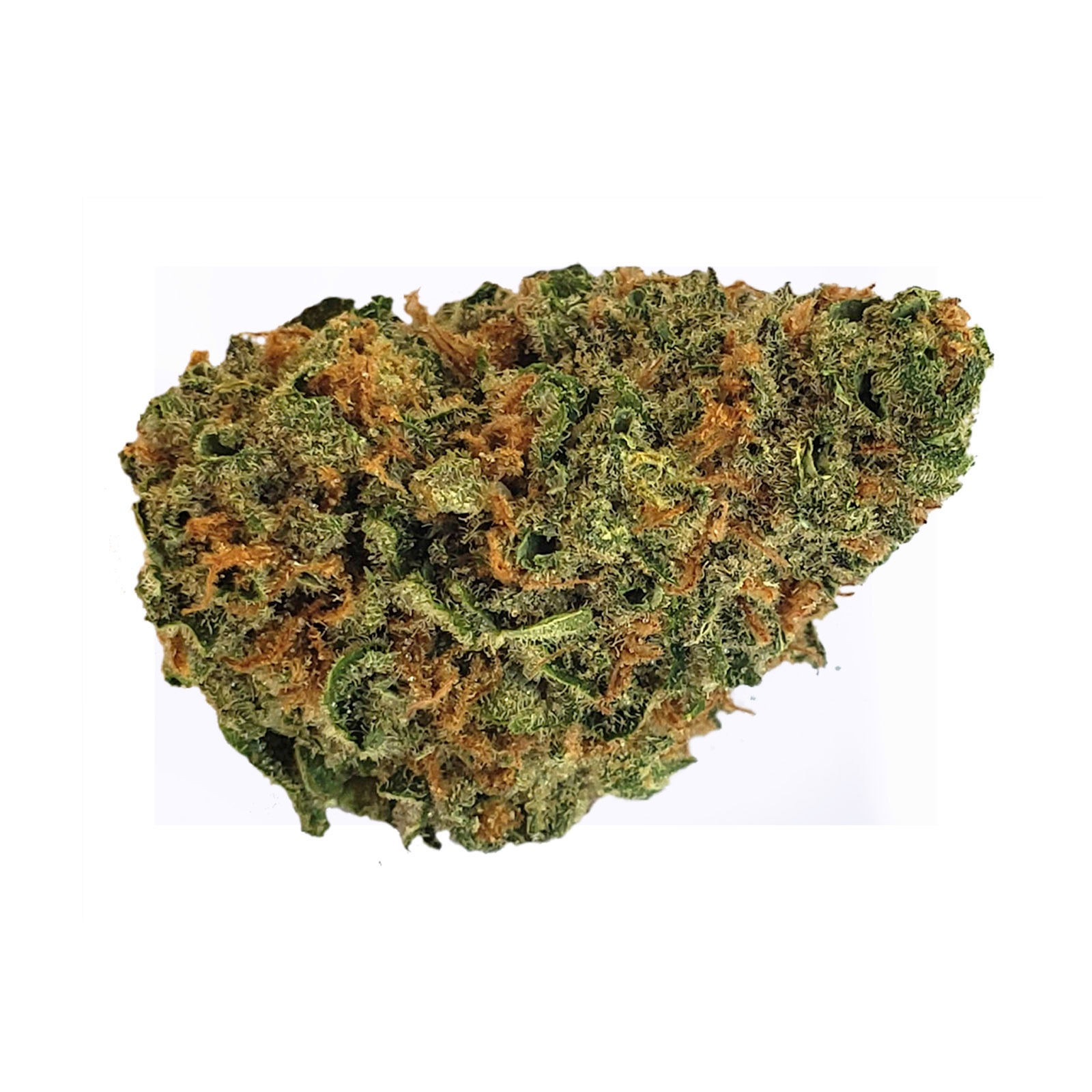 ForwardGro Tangerine Dream Leafly