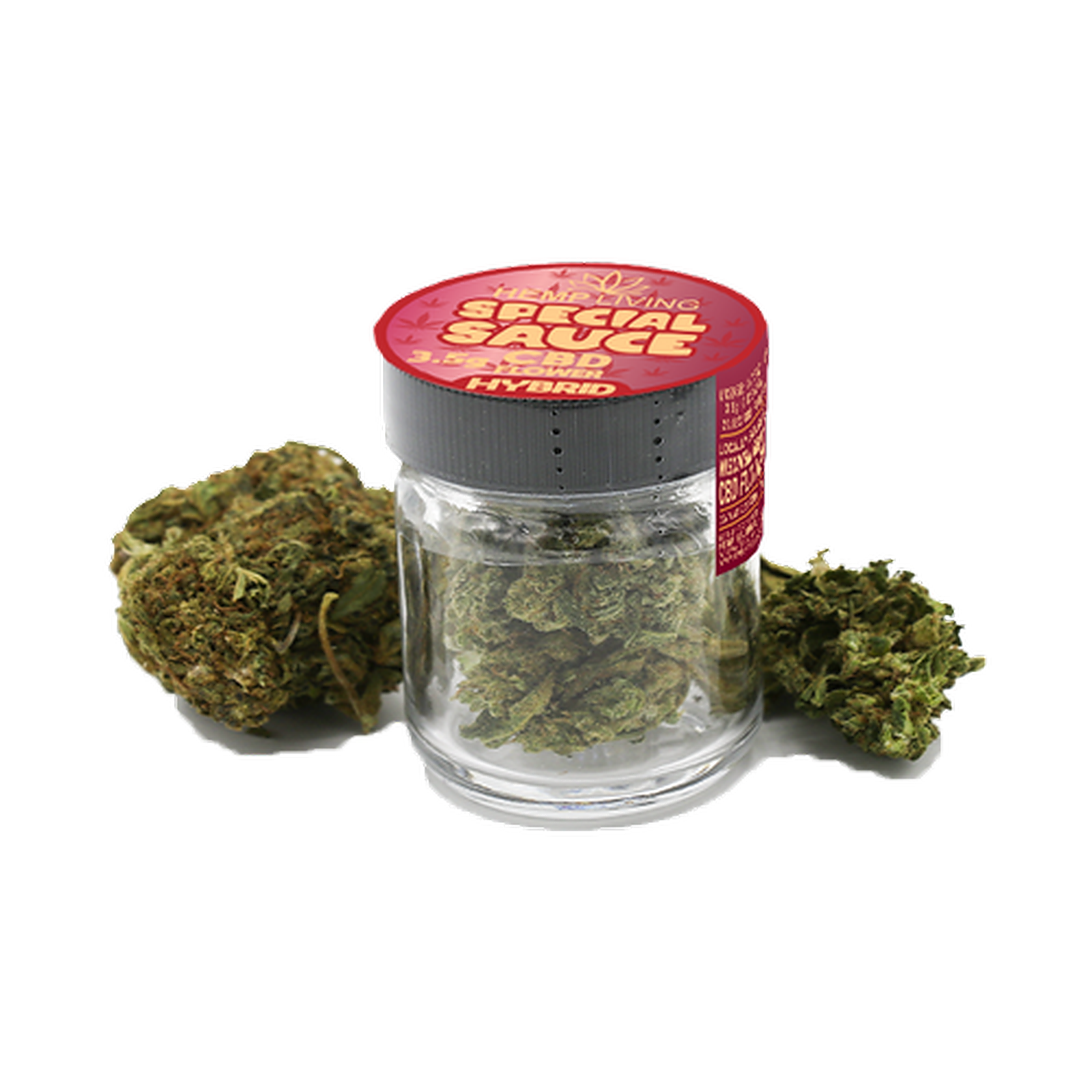 Hemp Living: Hemp Living - CBD Flower 3.5g Jar - Special Sauce | Leafly